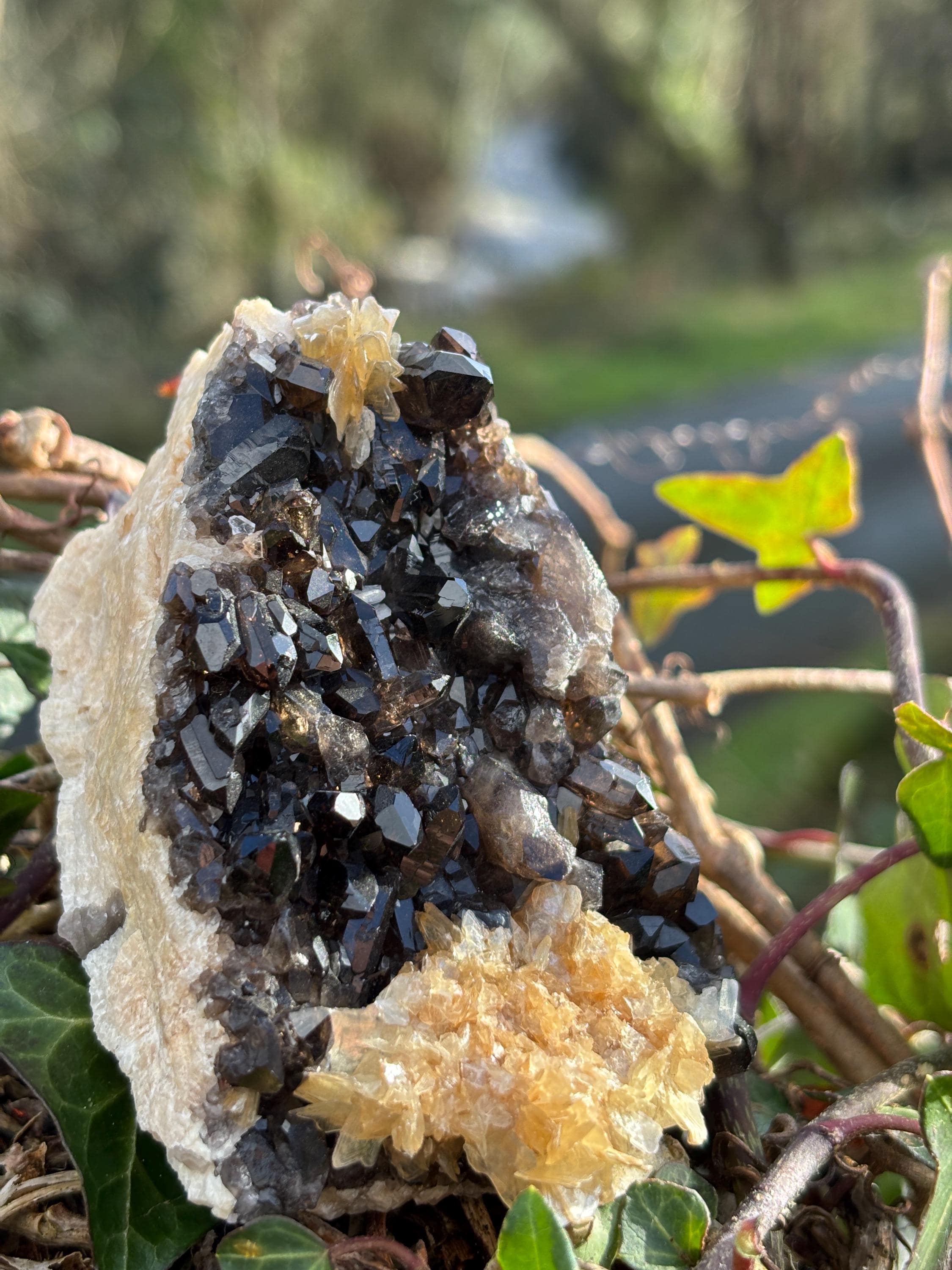 Morion Quartz Cluster with Mica | Black Smoky Crystal Specimen