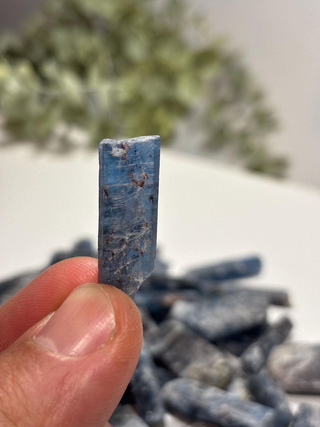 Raw Blue Kyanite Crystal Blade | Throat Chakra Stone