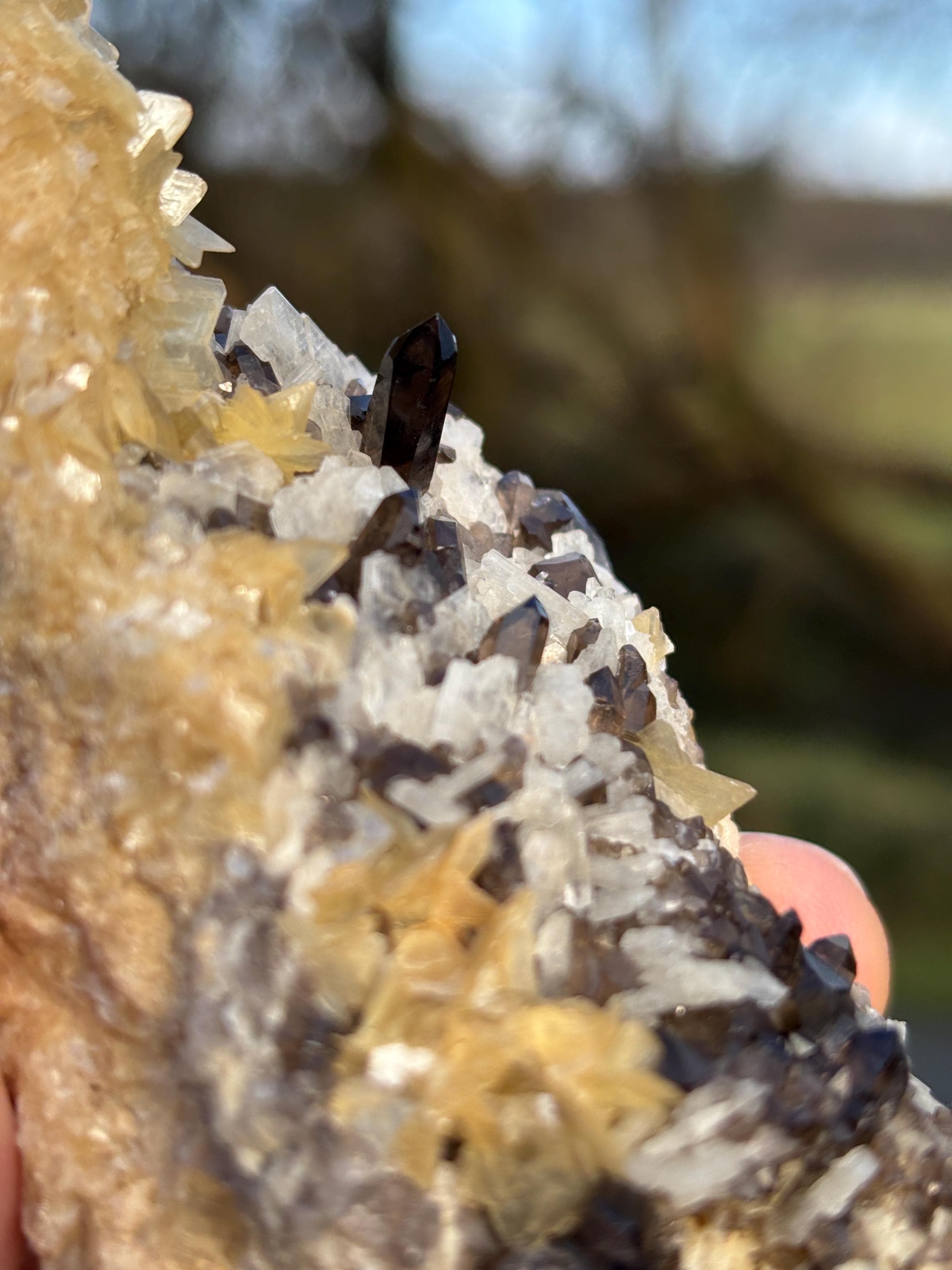 Morion Quartz Cluster with Mica | Black Smoky Crystal, Collector Specimen