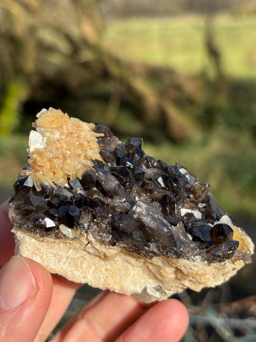 Morion Quartz Cluster with Mica | Black Smoky Crystal Specimen