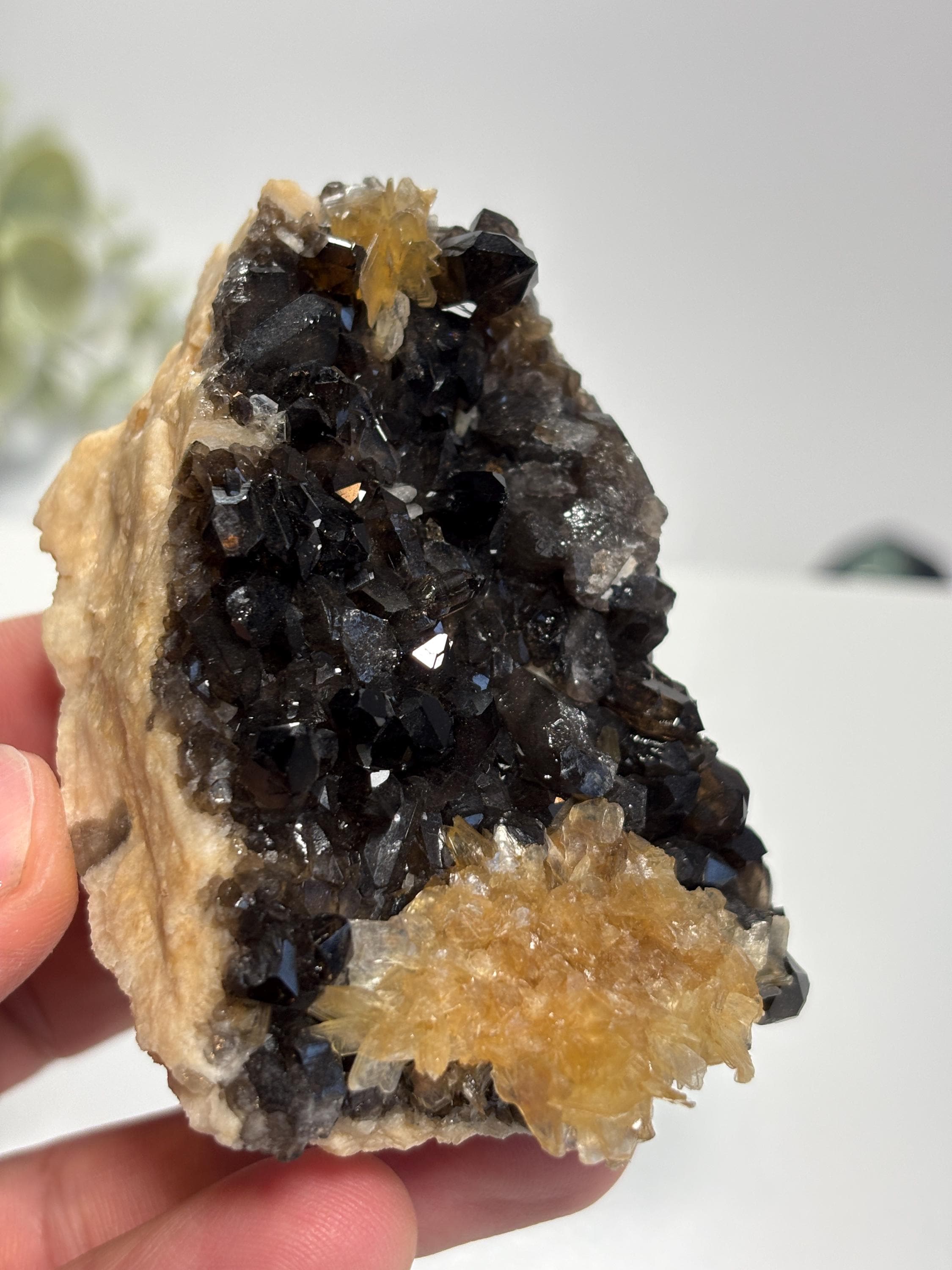 Morion Quartz Cluster with Mica | Black Smoky Crystal Specimen