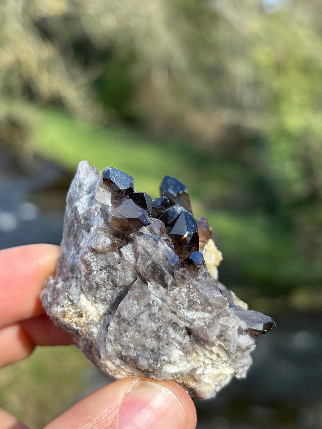 Morion Quartz with Mica | Black Smoky Quartz Cluster | Rare Collector Crystal | Grounding Protection Stone