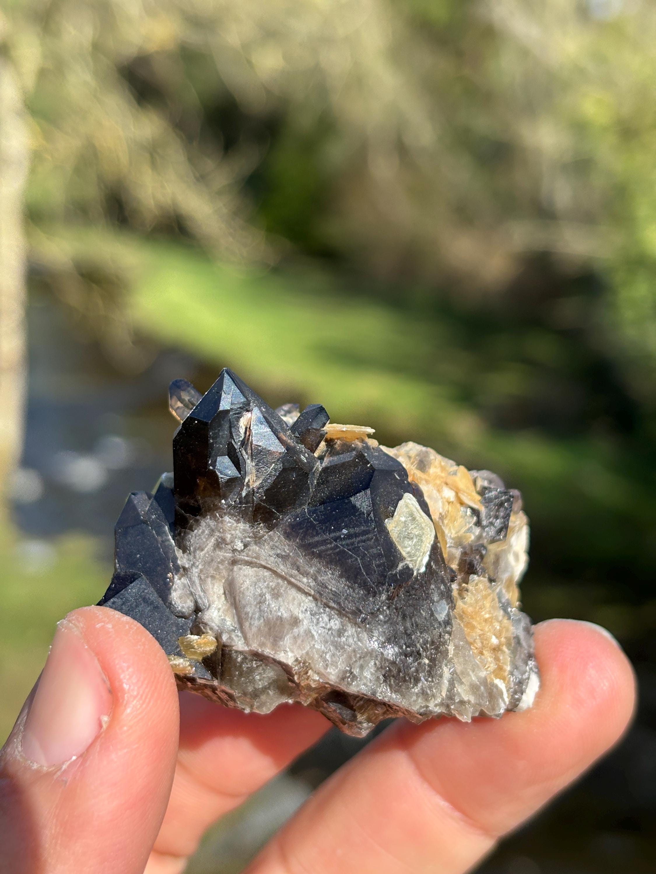 Morion Quartz with Mica | Black Smoky Quartz Cluster | Rare Collector Crystal | Grounding Protection Stone