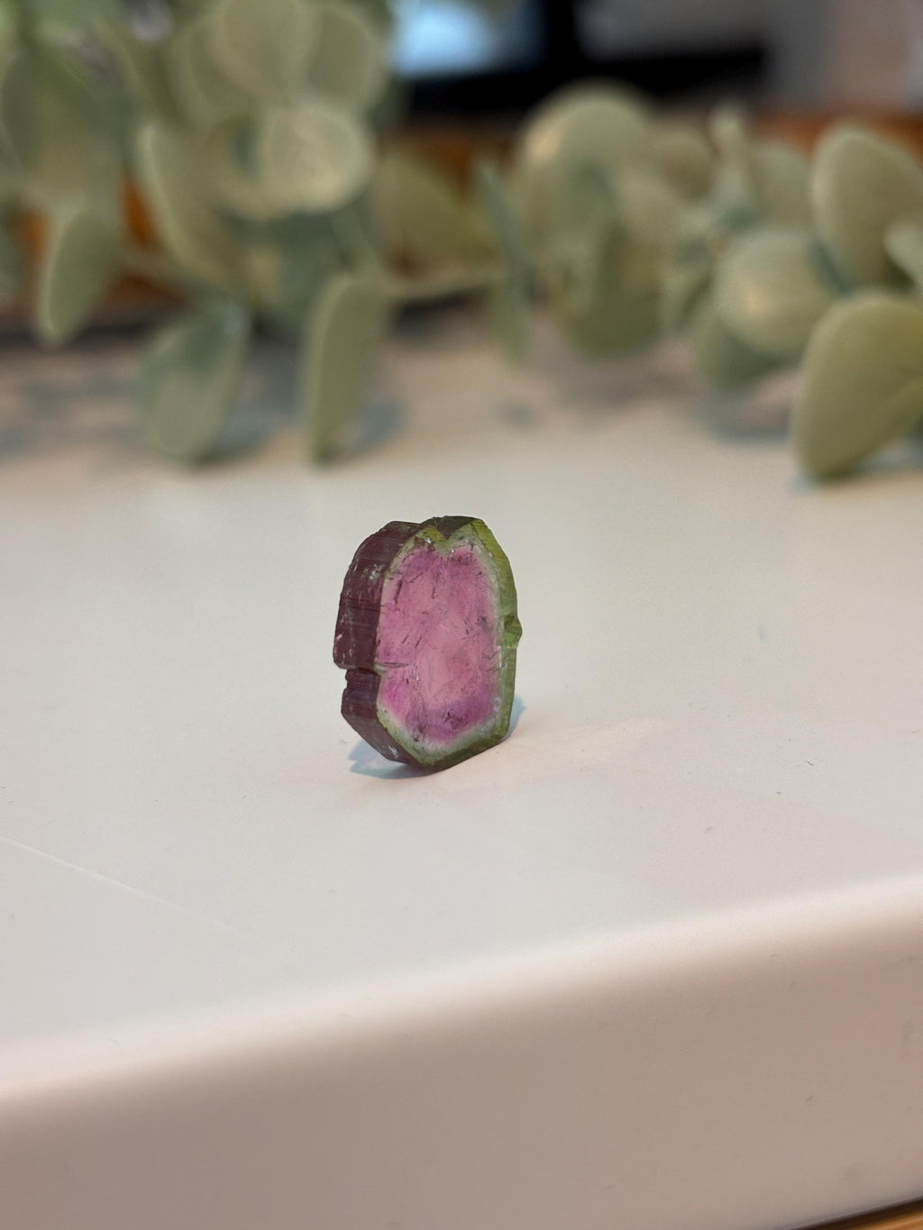 Watermelon Tourmaline Slice | Pink & Green Crystal | Heart Chakra Stone | Collector Gemstone | Natural Tourmaline