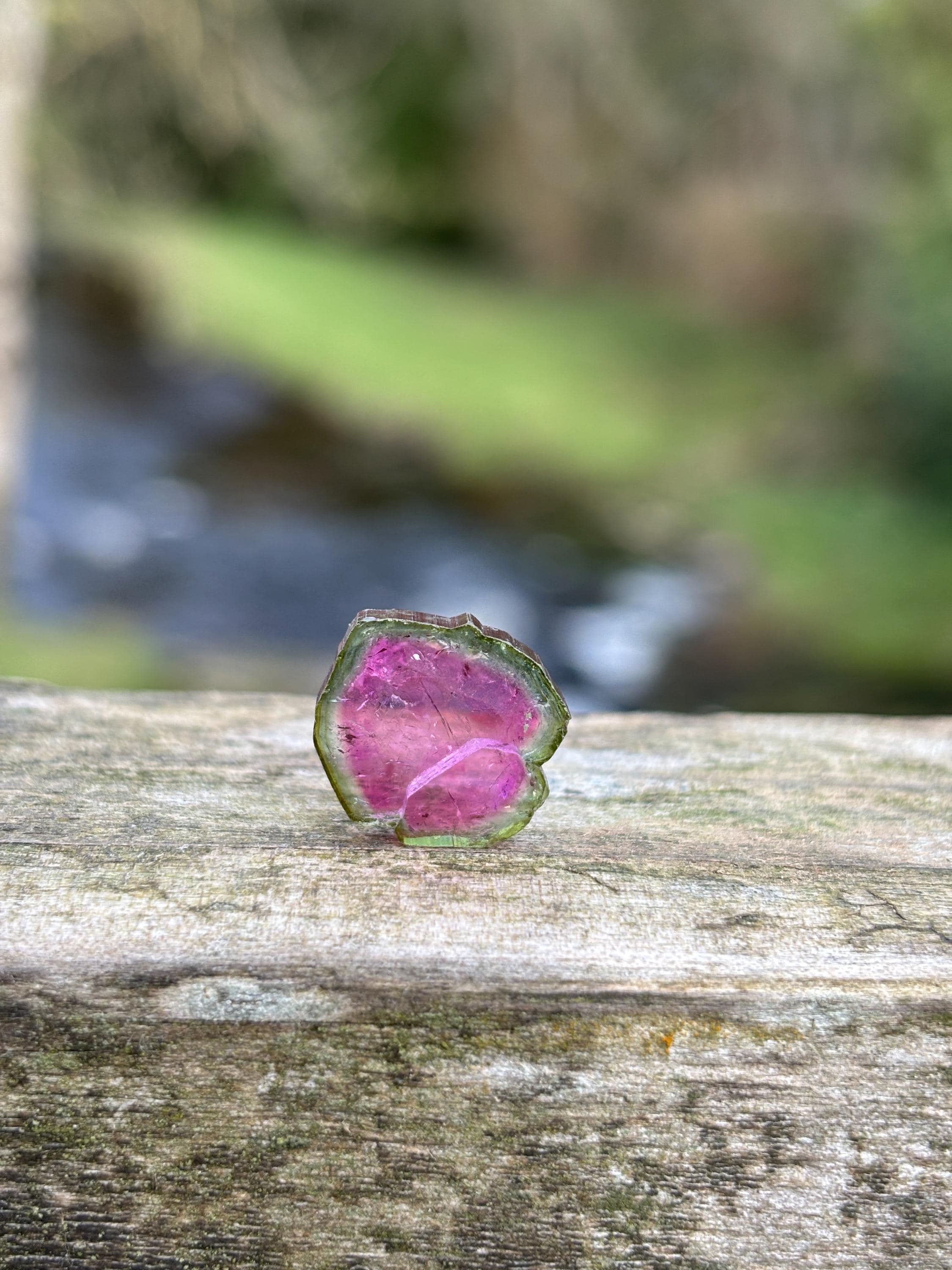 Watermelon Tourmaline Slice | Pink & Green Crystal | Heart Chakra Stone | Collector Gemstone | Natural Tourmaline