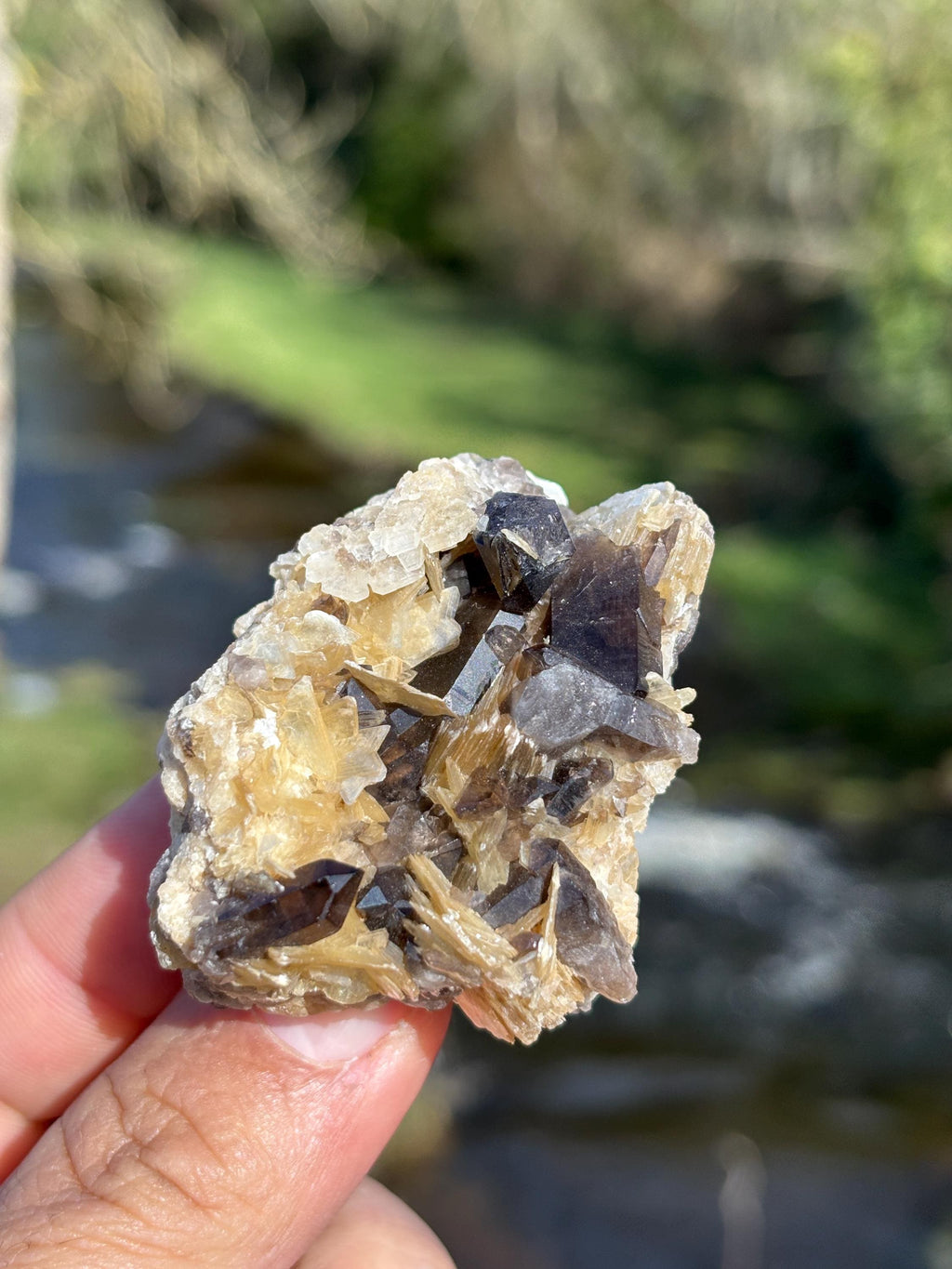 Morion Quartz with Mica | Black Smoky Quartz Cluster | Rare Collector Crystal | Grounding Protection Stone