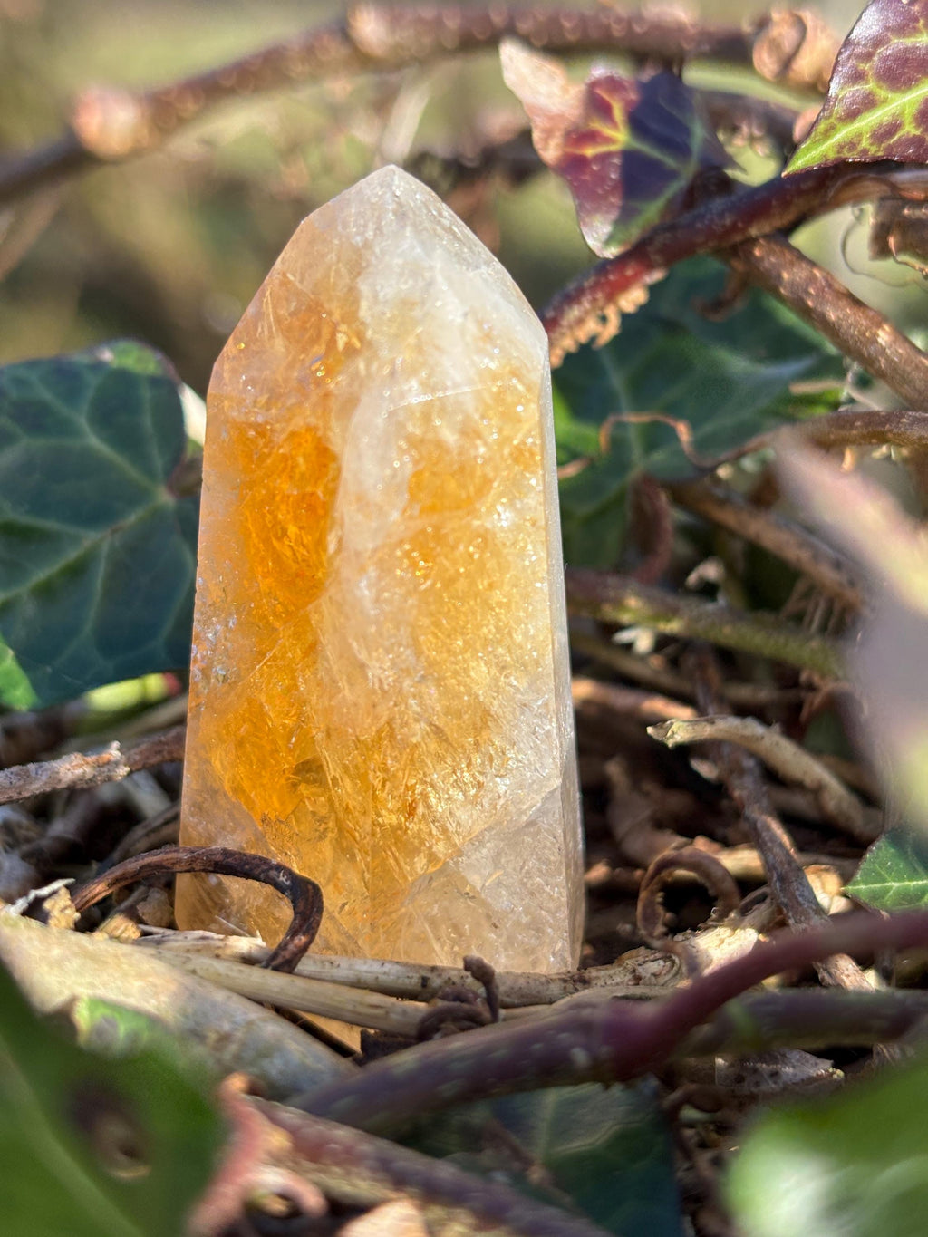Golden Citrine Point | Polished Abundance Crystal (~50mm)