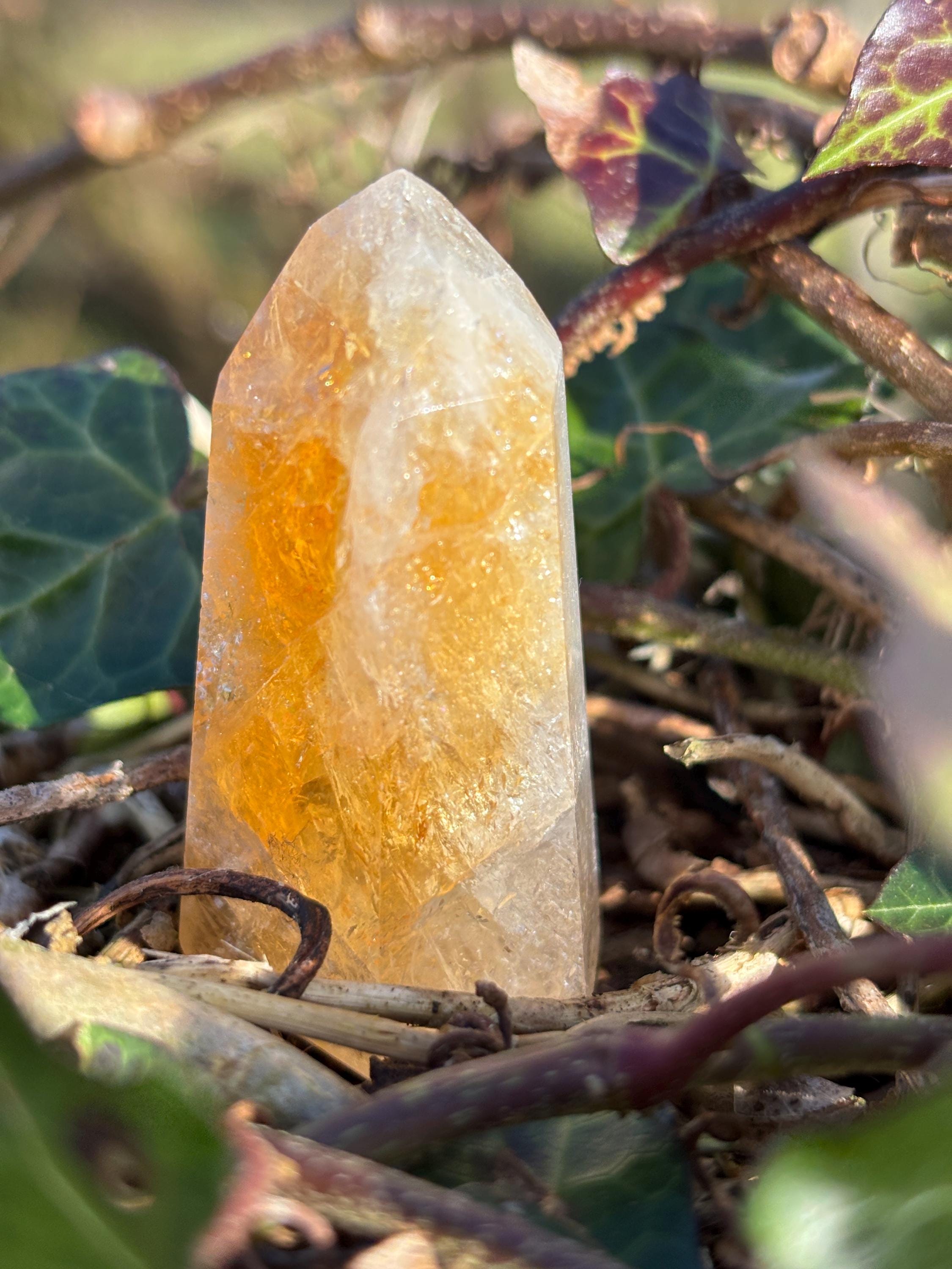Golden Citrine Point | Polished Abundance Crystal (~50mm)
