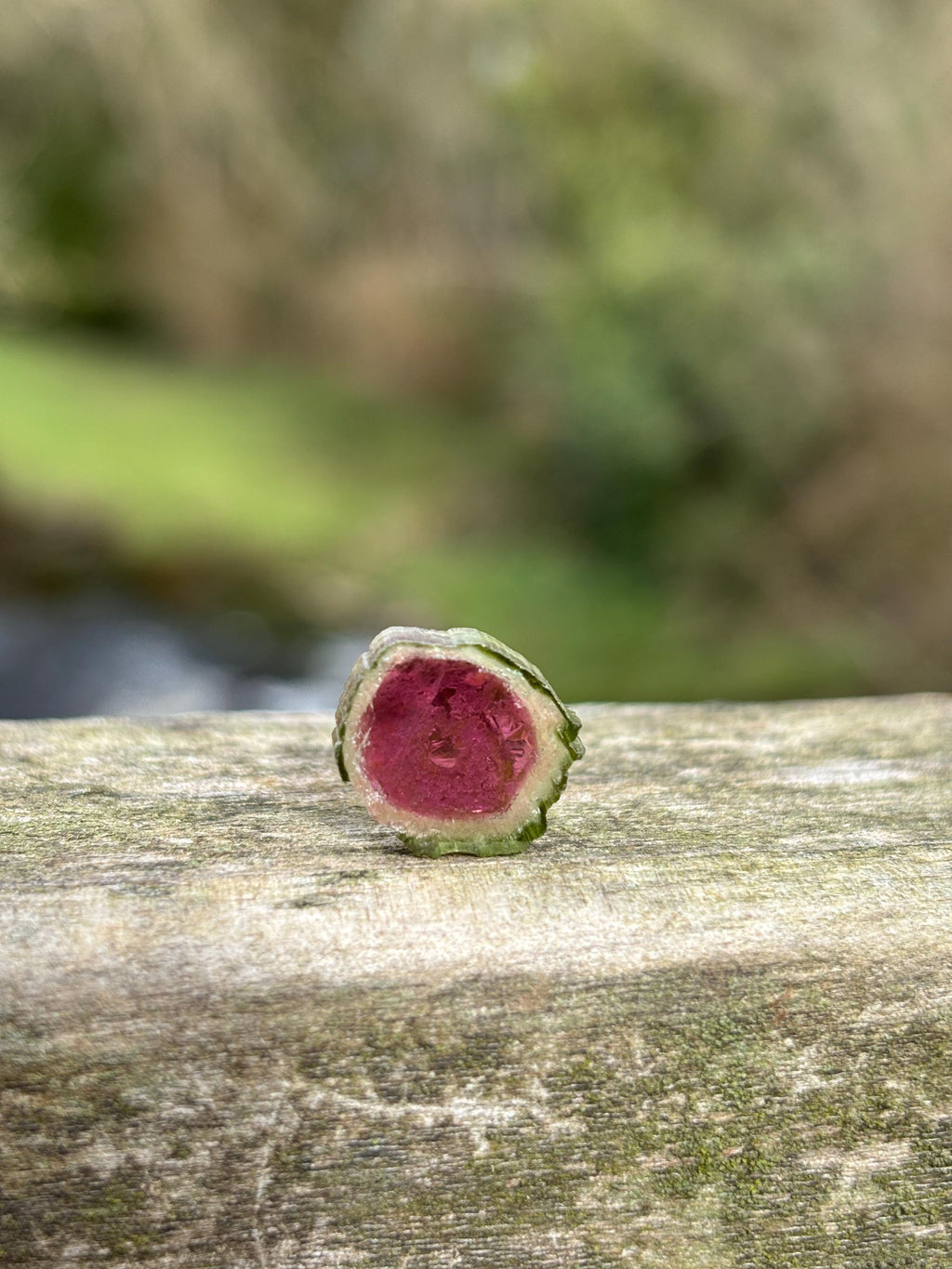 Watermelon Tourmaline Slice | Pink Green Crystal | Natural Tourmaline | Heart Chakra Stone | Collector Gemstone