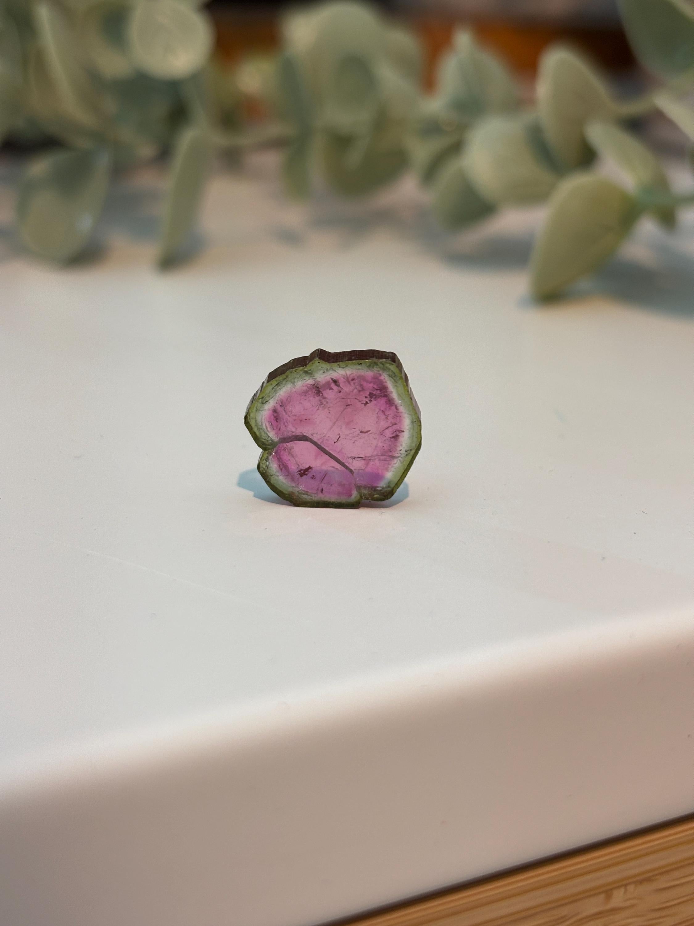 Watermelon Tourmaline Slice | Pink & Green Crystal | Heart Chakra Stone | Collector Gemstone | Natural Tourmaline