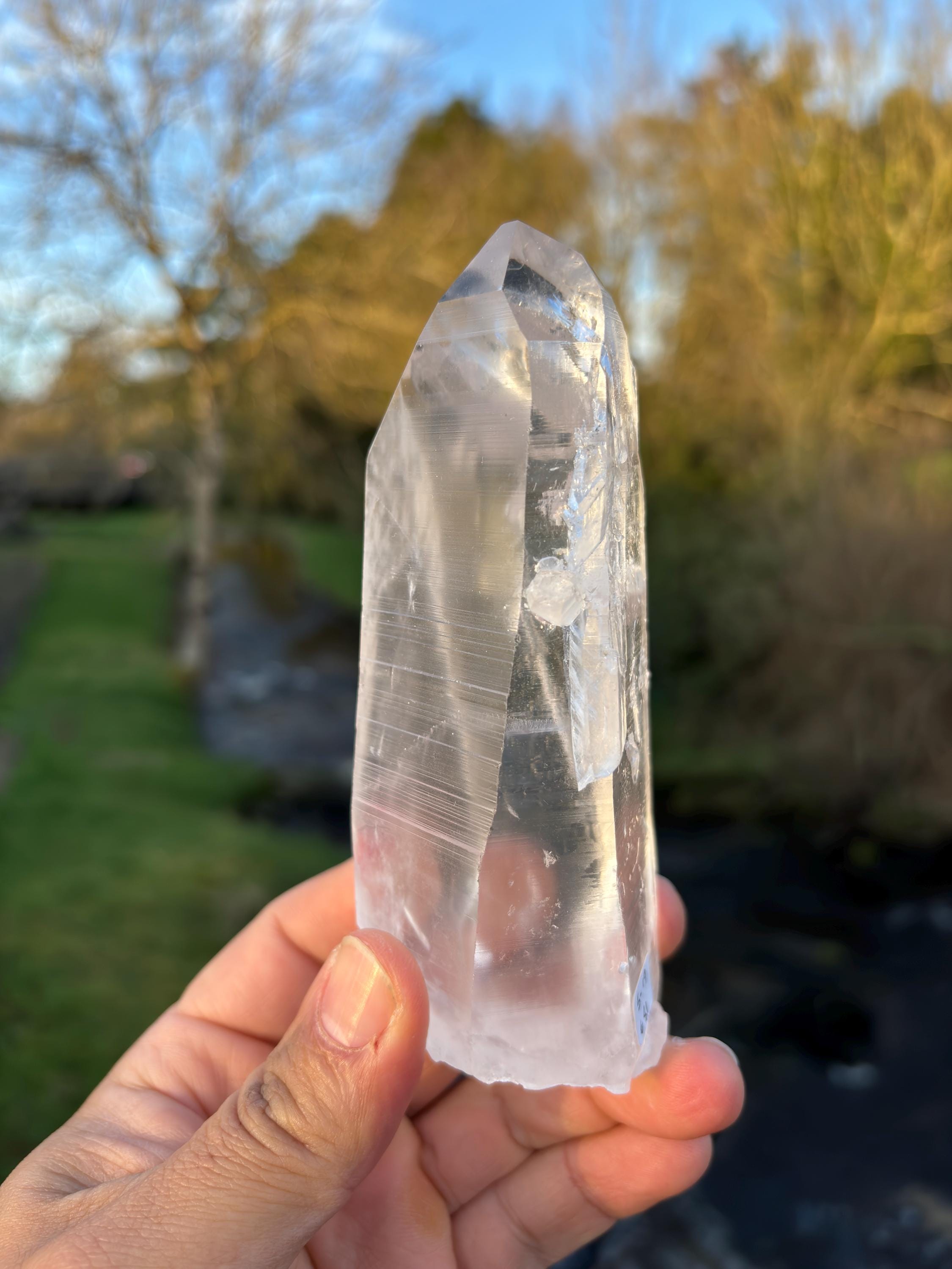 Natural Lemurian Quartz Point | Extra Clear Brazilian Crystal | High Transparency | Raw Collector Specimen | Healing Stone
