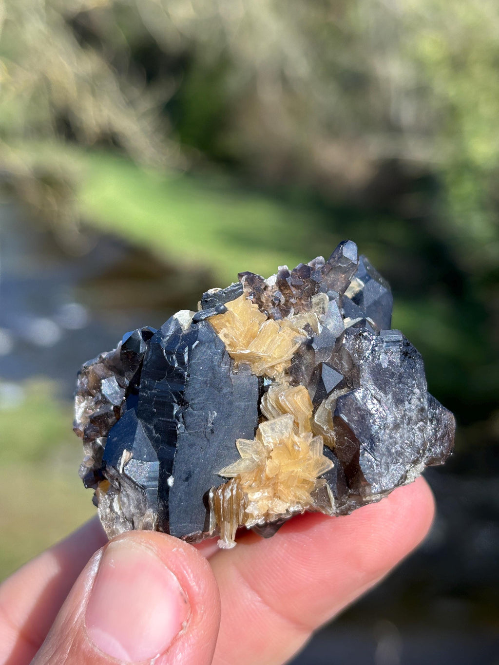 Morion Quartz with Mica | Black Smoky Quartz Cluster | Rare Collector Crystal | Grounding Protection Stone