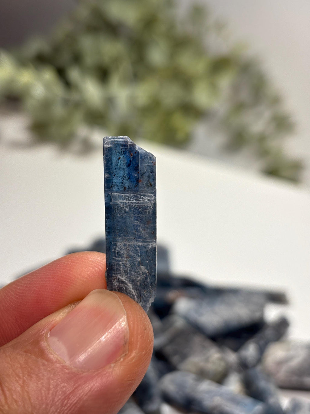 Raw Blue Kyanite Crystal Blade | Throat Chakra Stone