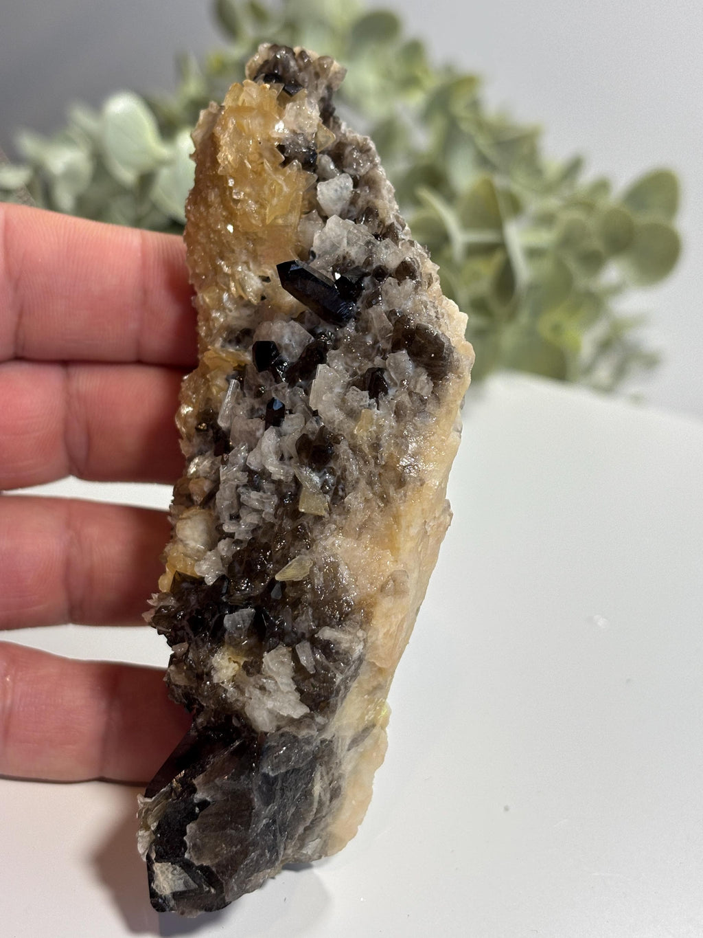 Morion Quartz Cluster with Mica | Black Smoky Crystal, Collector Specimen