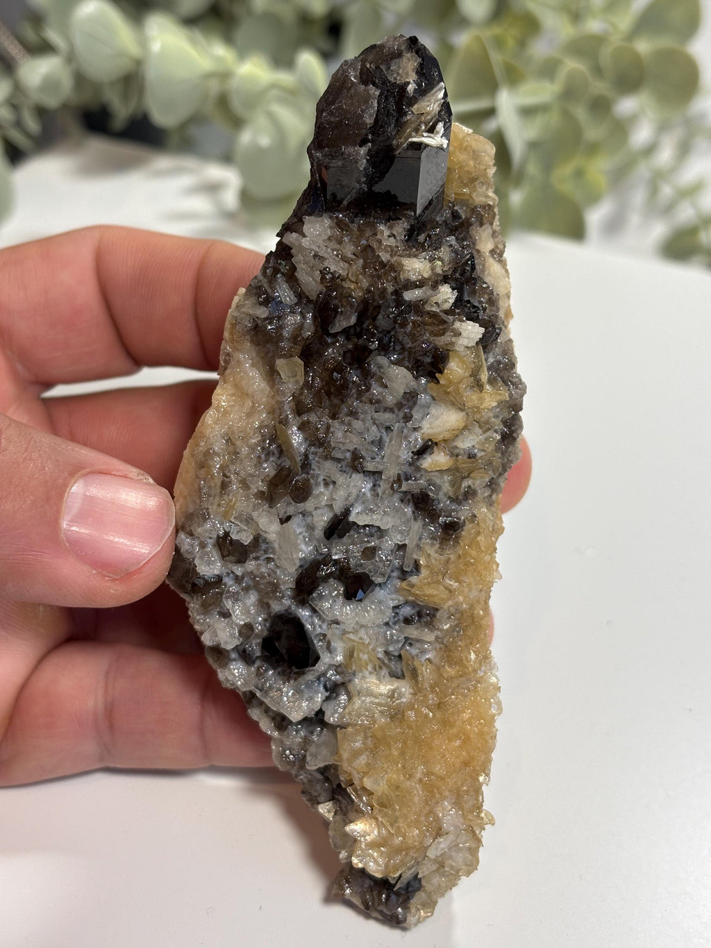 Morion Quartz Cluster with Mica | Black Smoky Crystal, Collector Specimen