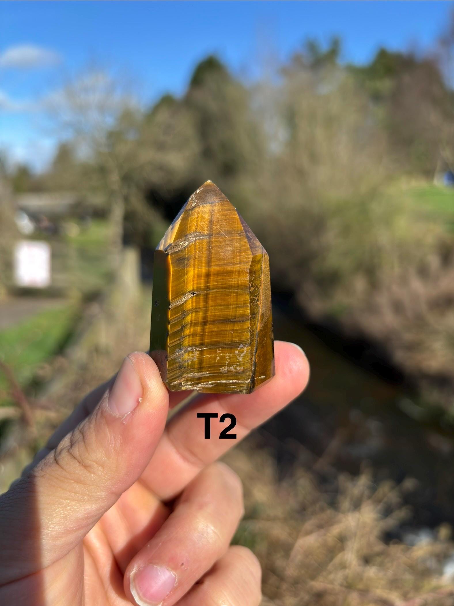 Tiger's Eye Crystal Point | Hand-Polished Tower, Home Decor