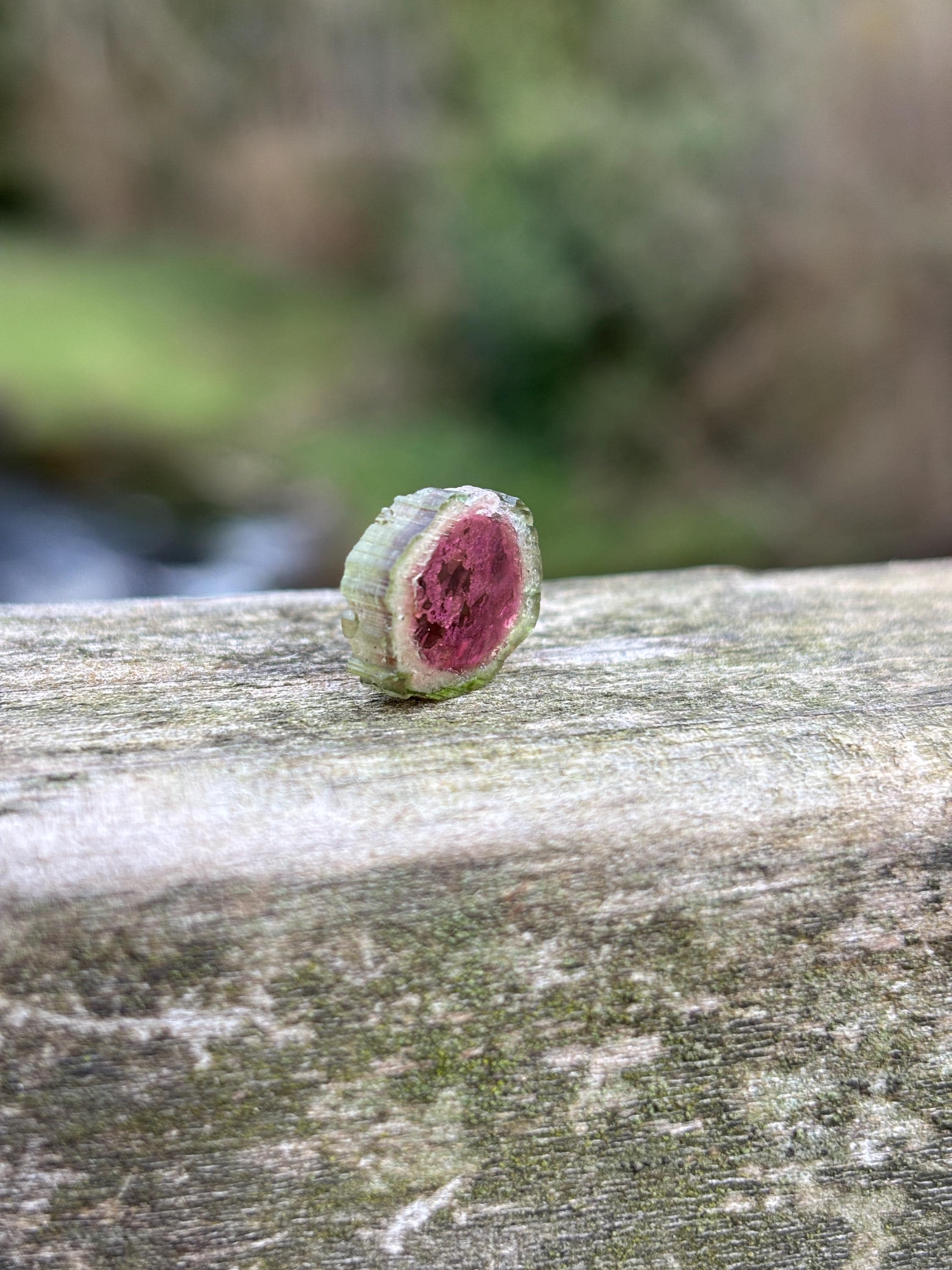 Watermelon Tourmaline Slice | Pink Green Crystal | Natural Tourmaline | Heart Chakra Stone | Collector Gemstone