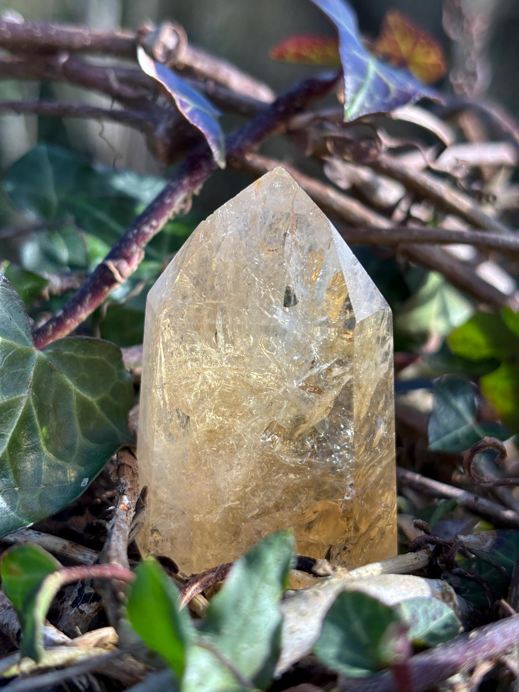 Golden Citrine Point | Polished Abundance Crystal (~50mm)