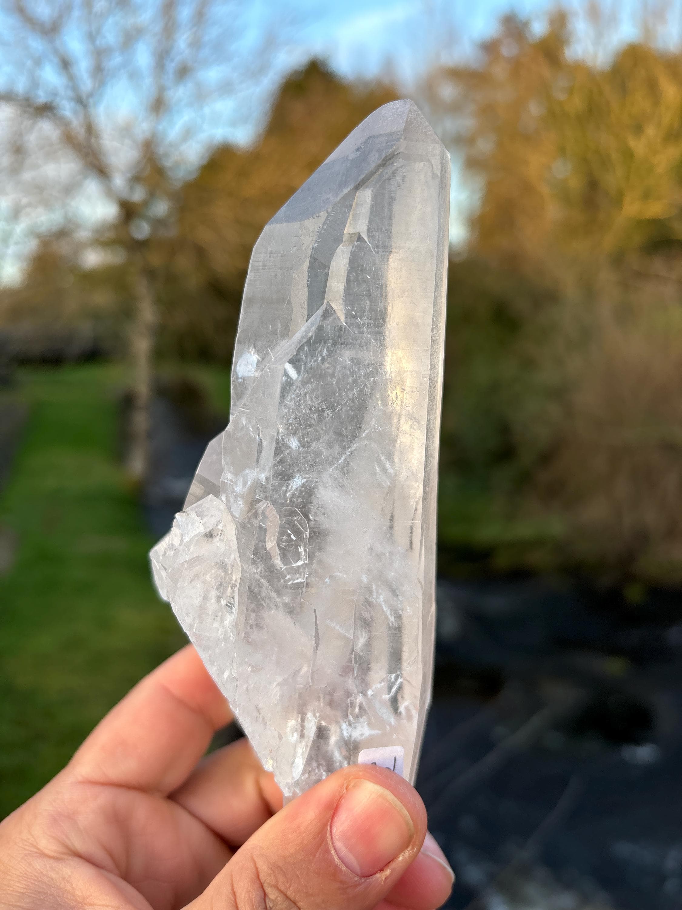 Natural Lemurian Quartz Point | Extra Clear Brazilian Crystal | High Transparency | Raw Collector Specimen | Healing Stone