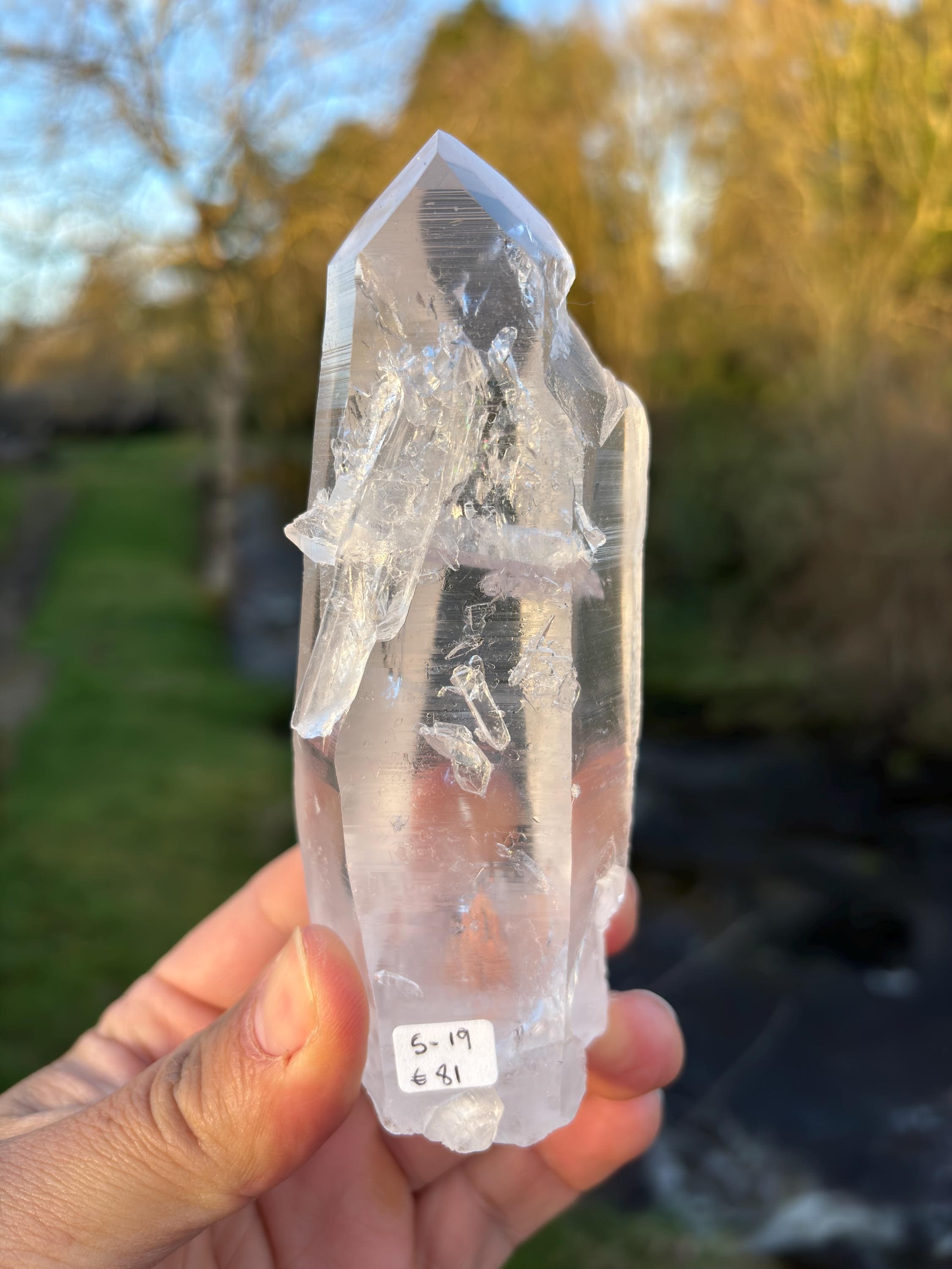 Natural Lemurian Quartz Point | Extra Clear Brazilian Crystal | High Transparency | Raw Collector Specimen | Healing Stone