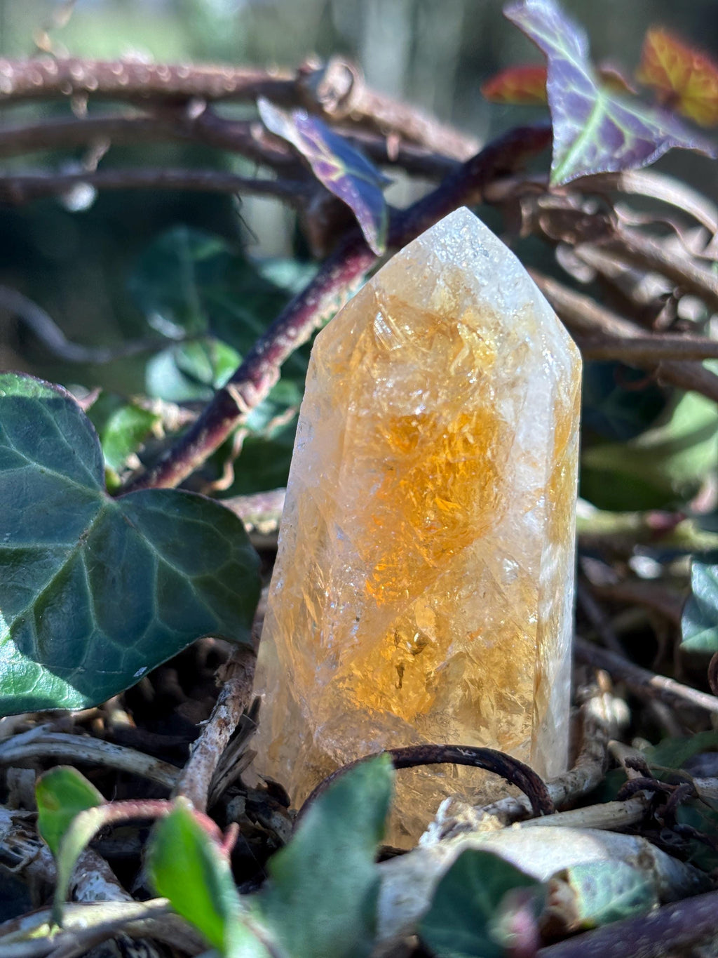 Golden Citrine Point | Polished Abundance Crystal (~50mm)