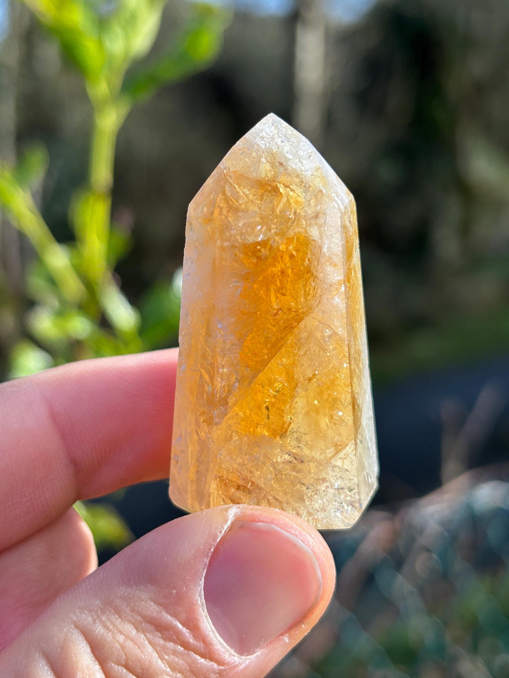 Golden Citrine Point | Polished Abundance Crystal (~50mm)