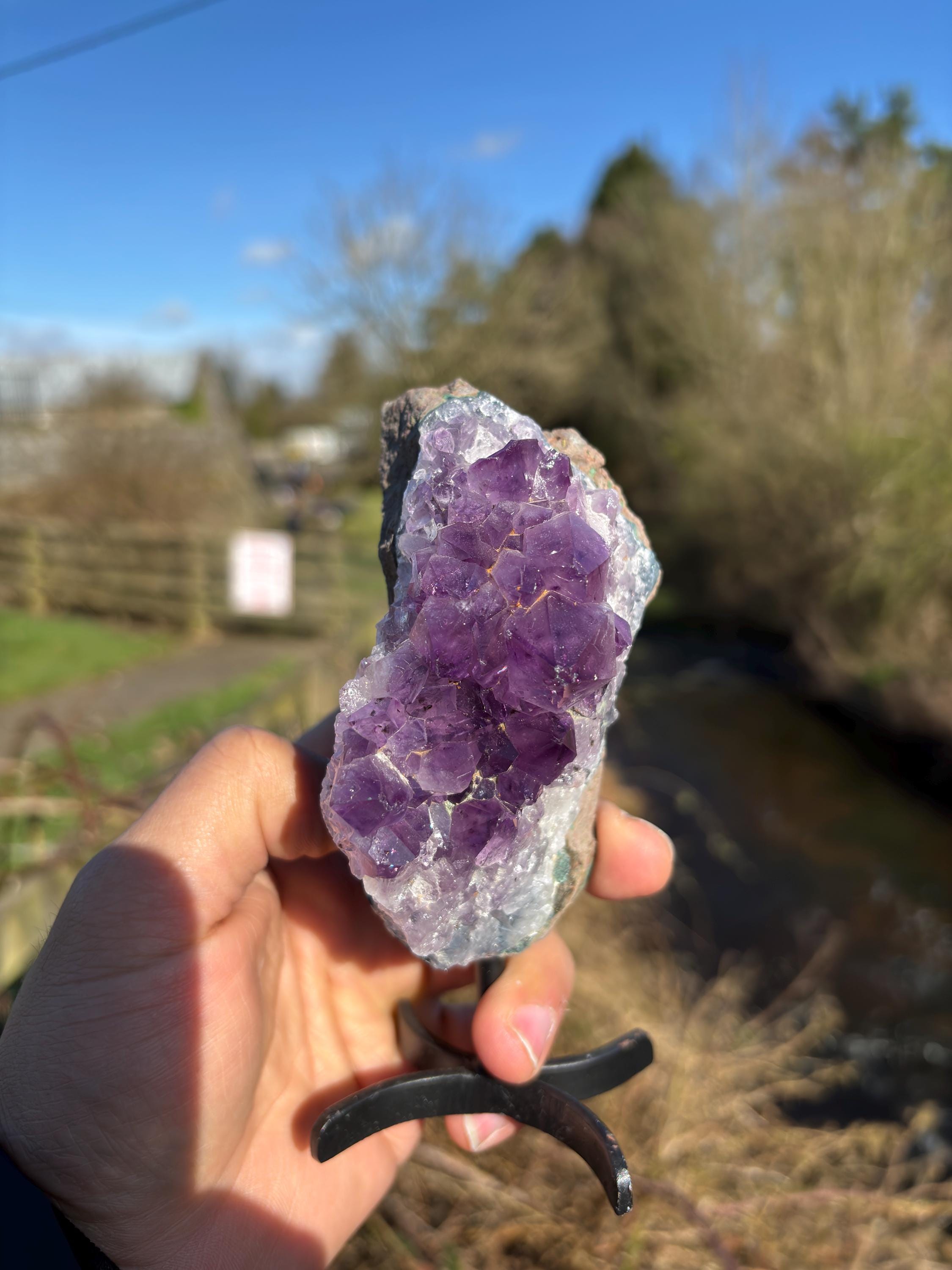 Natural Amethyst Druzy Cluster with Base - Purple Crystal Mineral Specimen