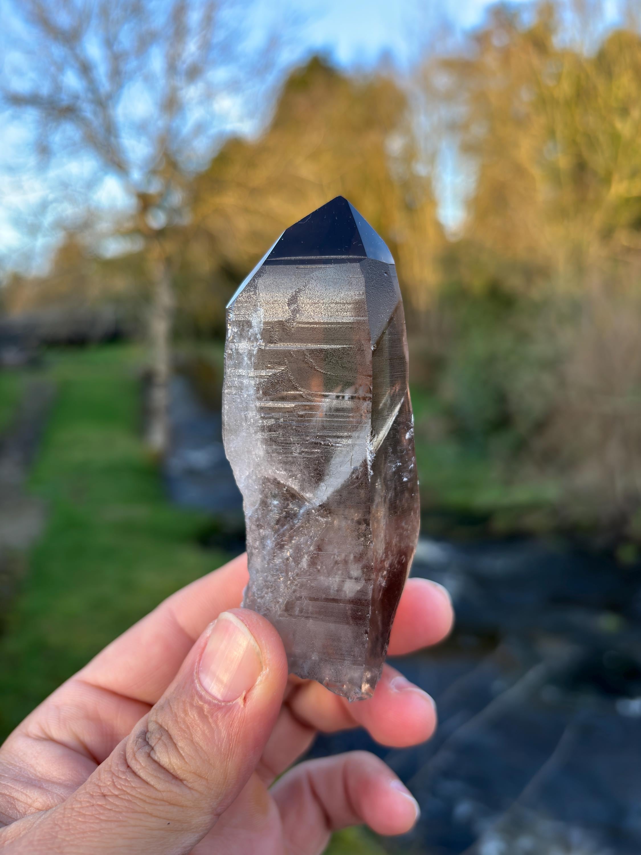 Smoky Lemurian Quartz Point | Natural Brazilian Crystal | Grounding Protection Stone | Raw Collector Specimen