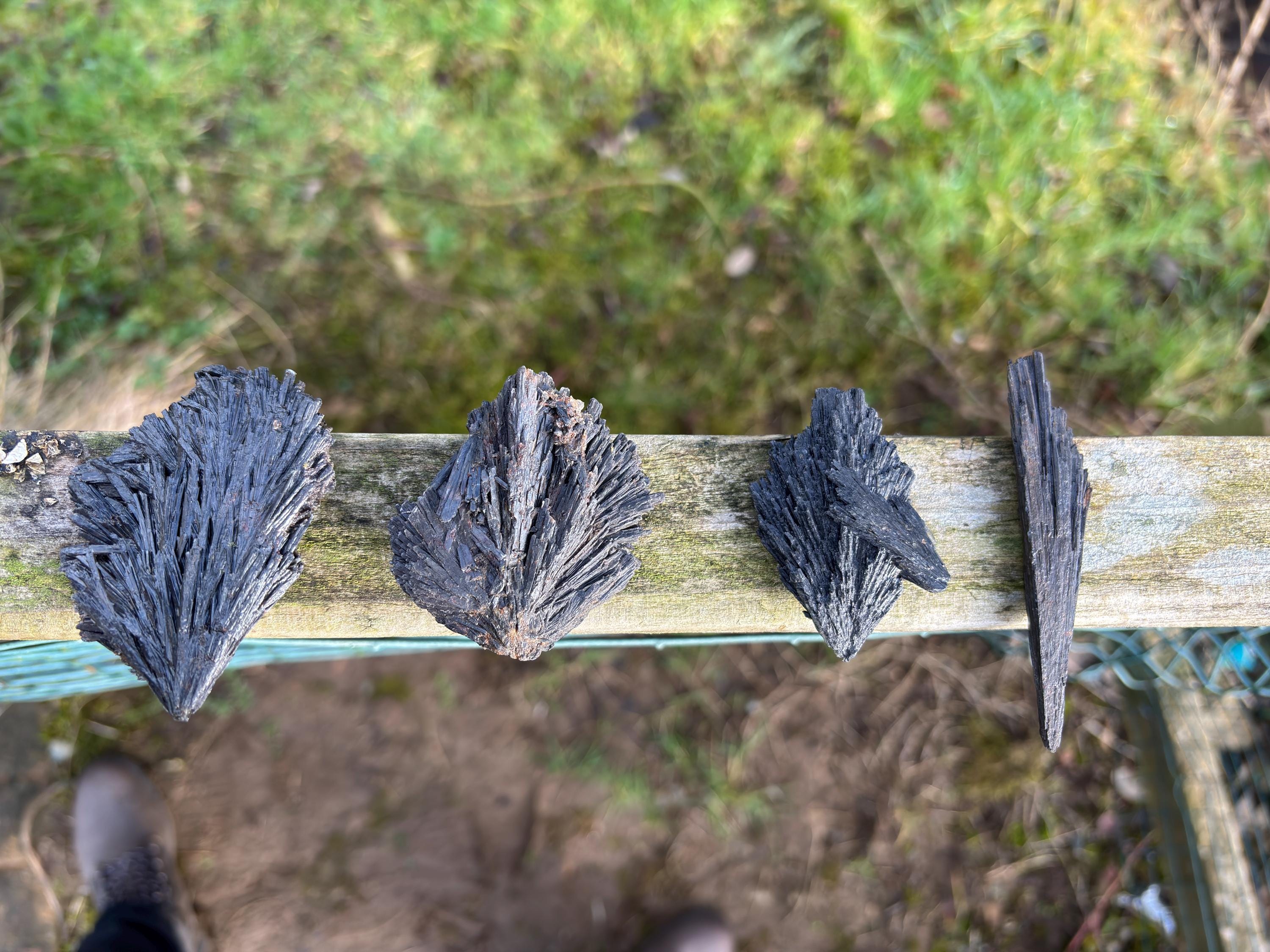 Black Kyanite Rough Crystal | Witch’s Broom, Protection Stone from Brazil