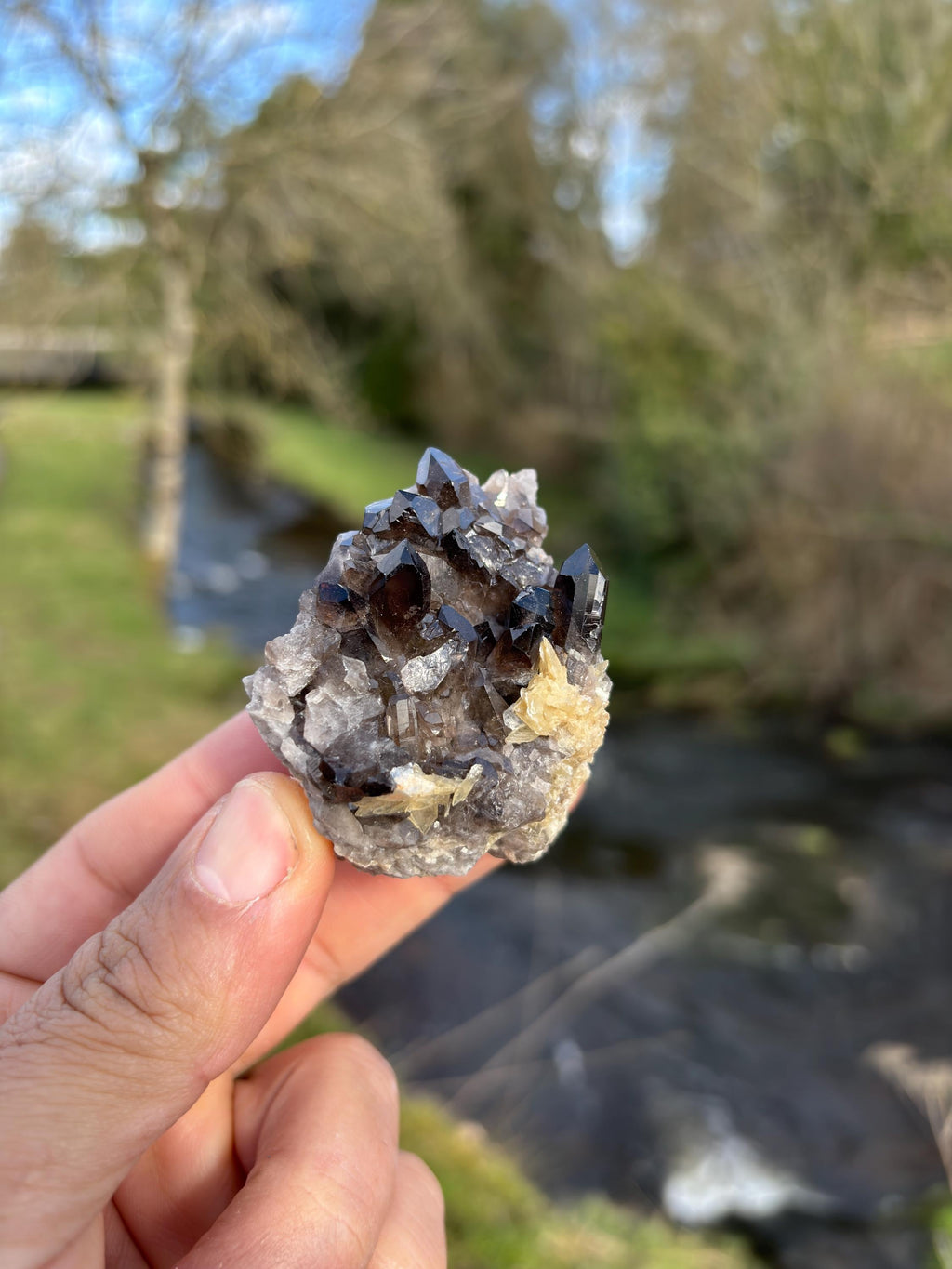 Morion Quartz with Mica | Black Smoky Quartz Cluster | Rare Collector Crystal | Grounding Protection Stone