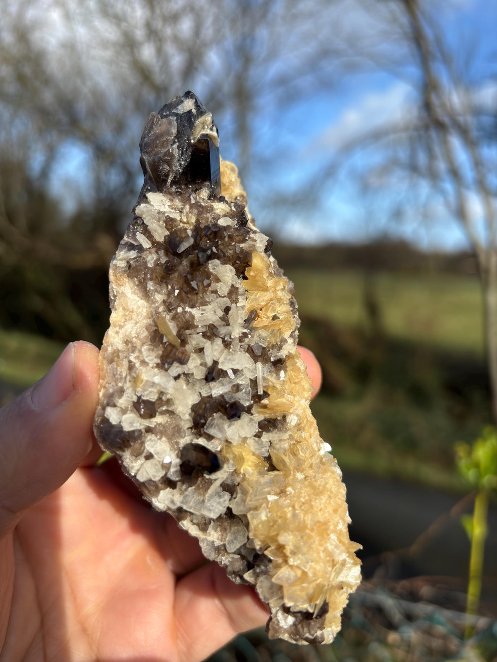 Morion Quartz Cluster with Mica | Black Smoky Crystal, Collector Specimen