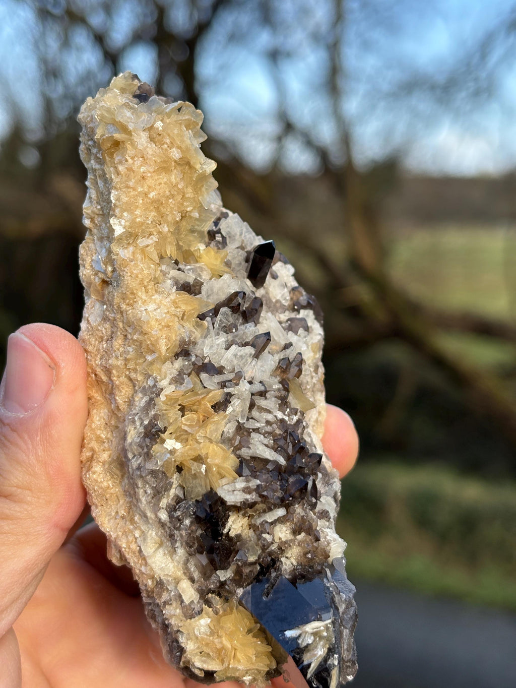 Morion Quartz Cluster with Mica | Black Smoky Crystal, Collector Specimen