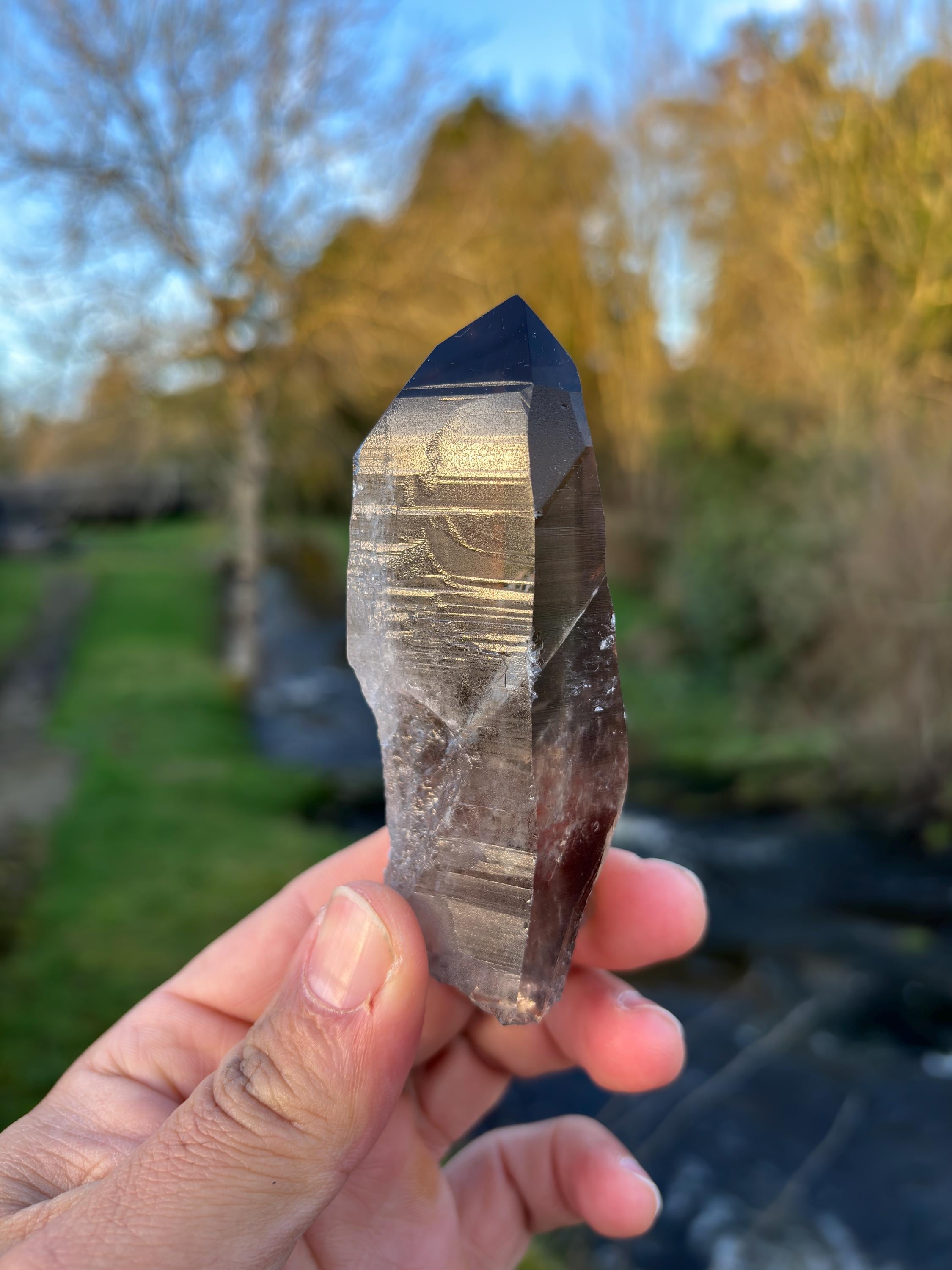 Smoky Lemurian Quartz Point | Natural Brazilian Crystal | Grounding Protection Stone | Raw Collector Specimen