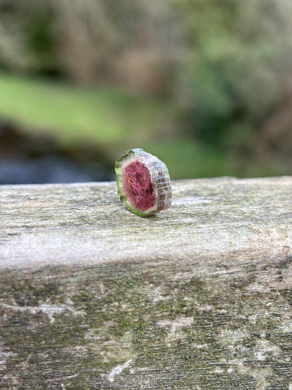 Watermelon Tourmaline Slice | Pink Green Crystal | Natural Tourmaline | Heart Chakra Stone | Collector Gemstone
