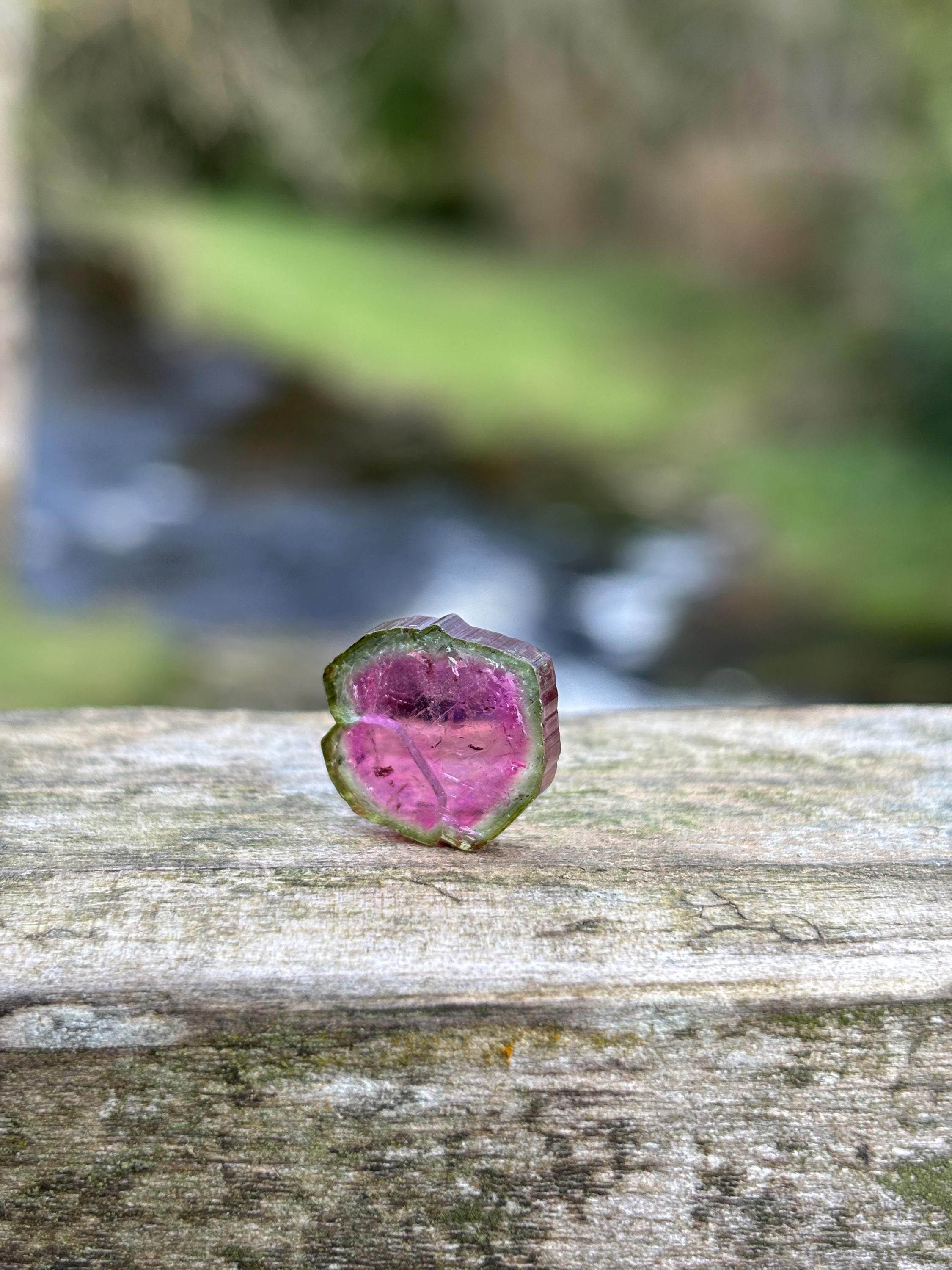 Watermelon Tourmaline Slice | Pink & Green Crystal | Heart Chakra Stone | Collector Gemstone | Natural Tourmaline
