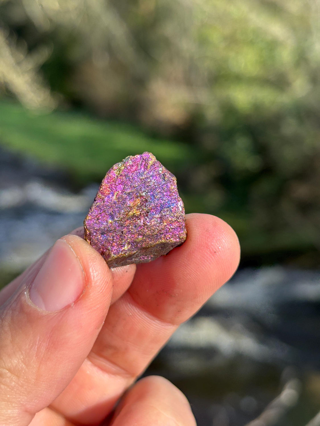 Bornite Rough Stone | Peacock Ore Crystal | Natural Iridescent Mineral | Raw Collector Specimen