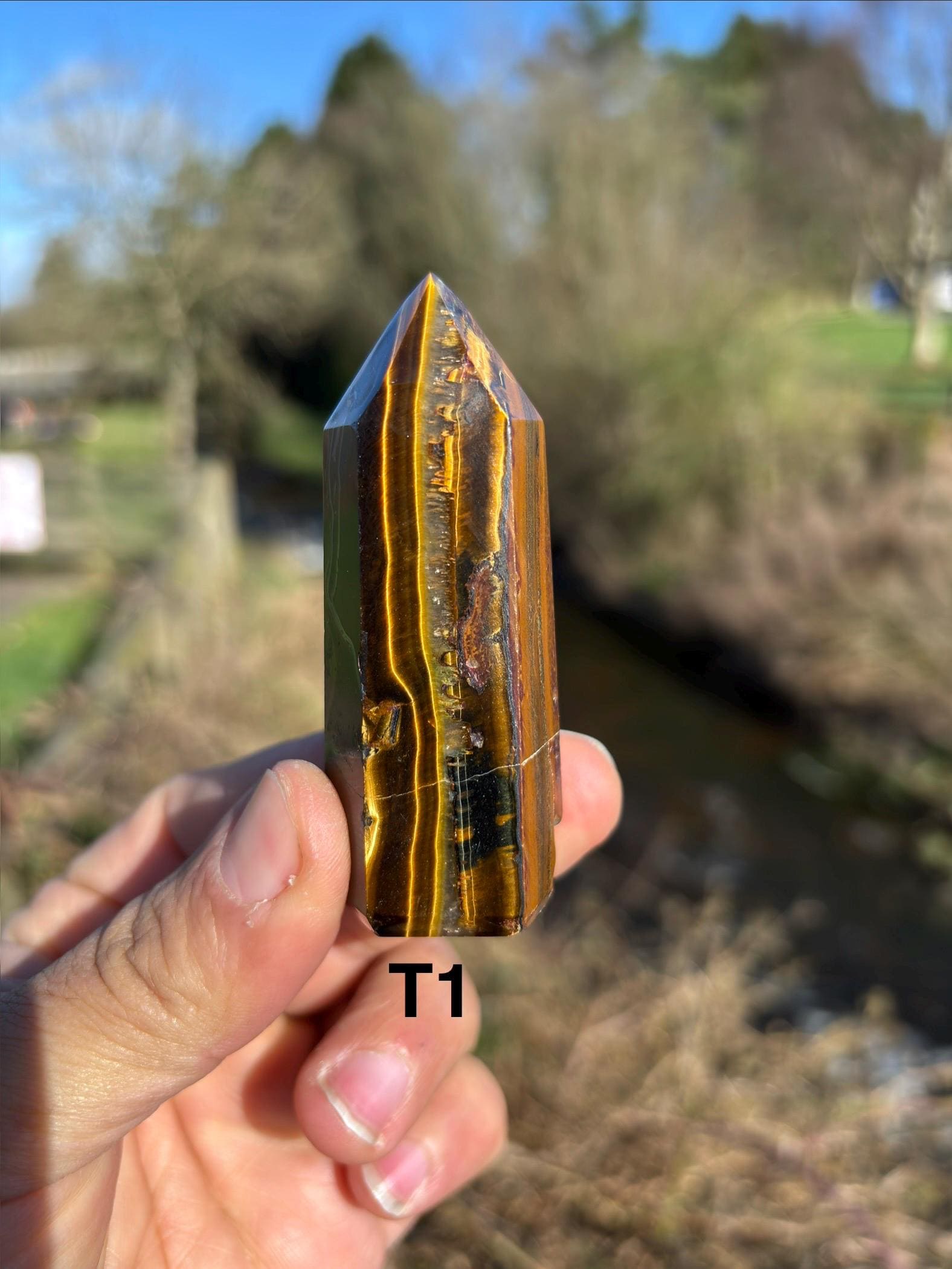 Tiger's Eye Crystal Point | Hand-Polished Tower, Home Decor