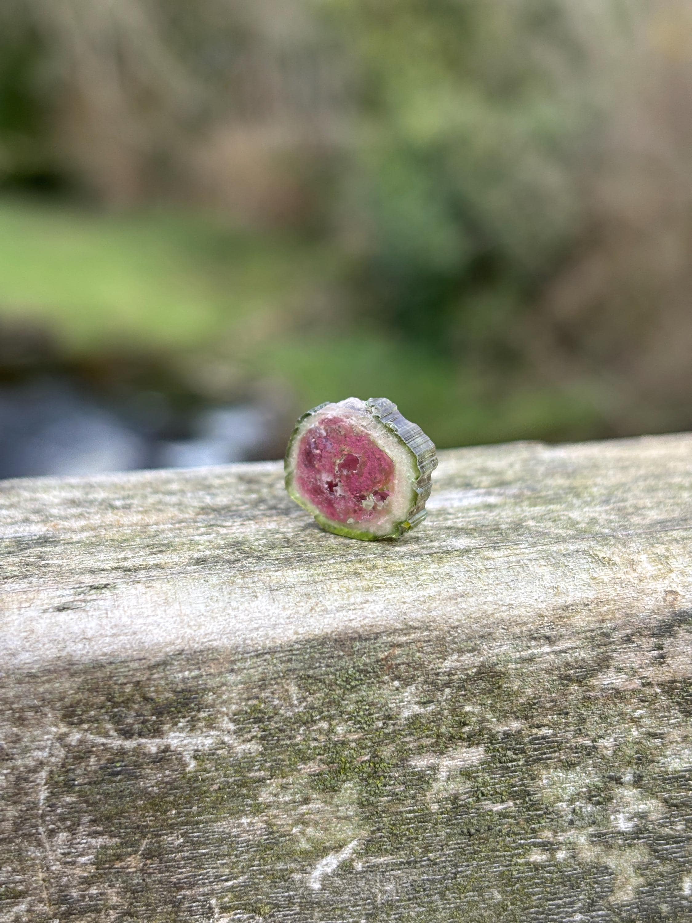 Watermelon Tourmaline Slice | Pink Green Crystal | Natural Tourmaline | Heart Chakra Stone | Collector Gemstone