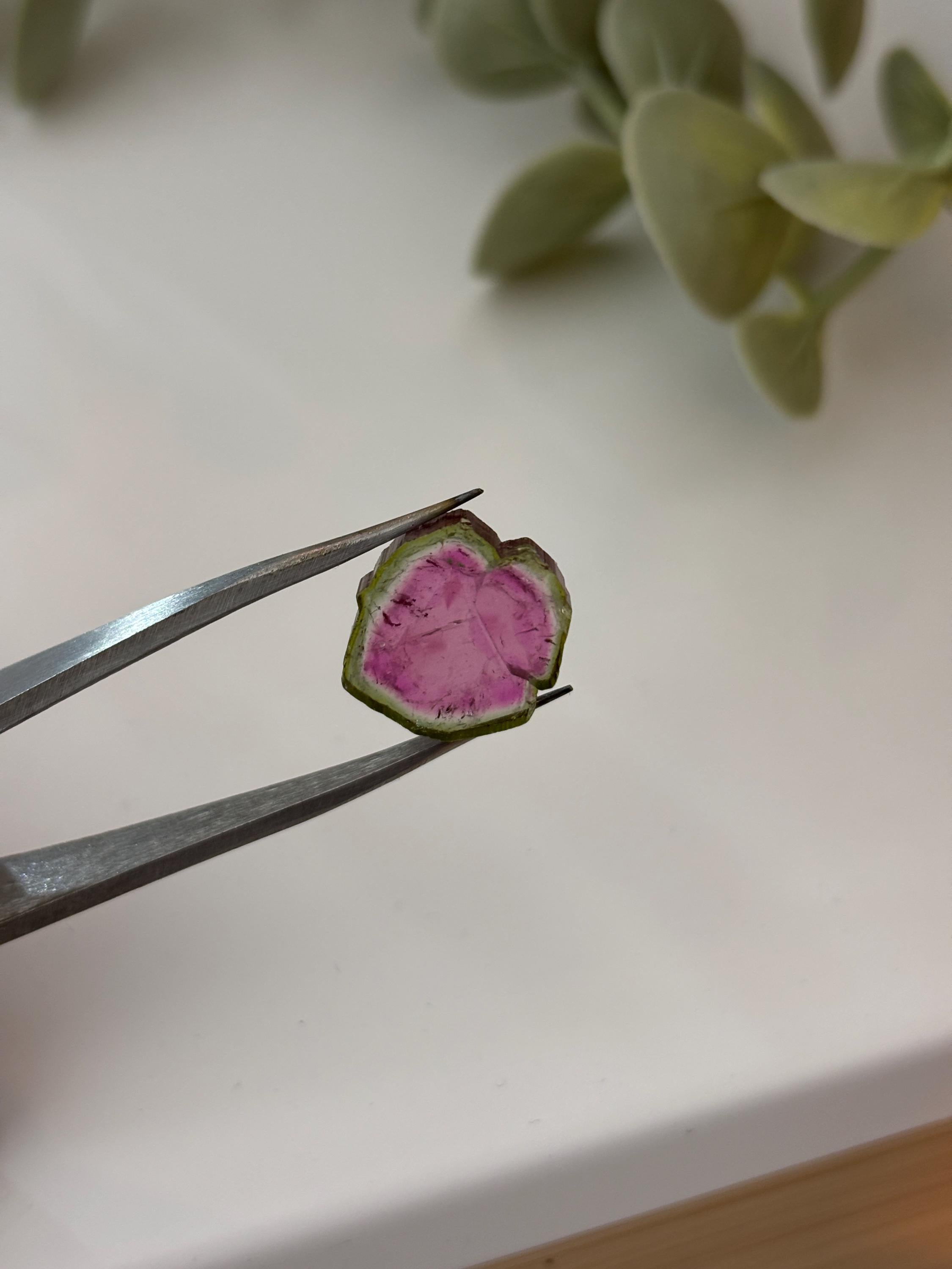 Watermelon Tourmaline Slice | Pink & Green Crystal | Heart Chakra Stone | Collector Gemstone | Natural Tourmaline