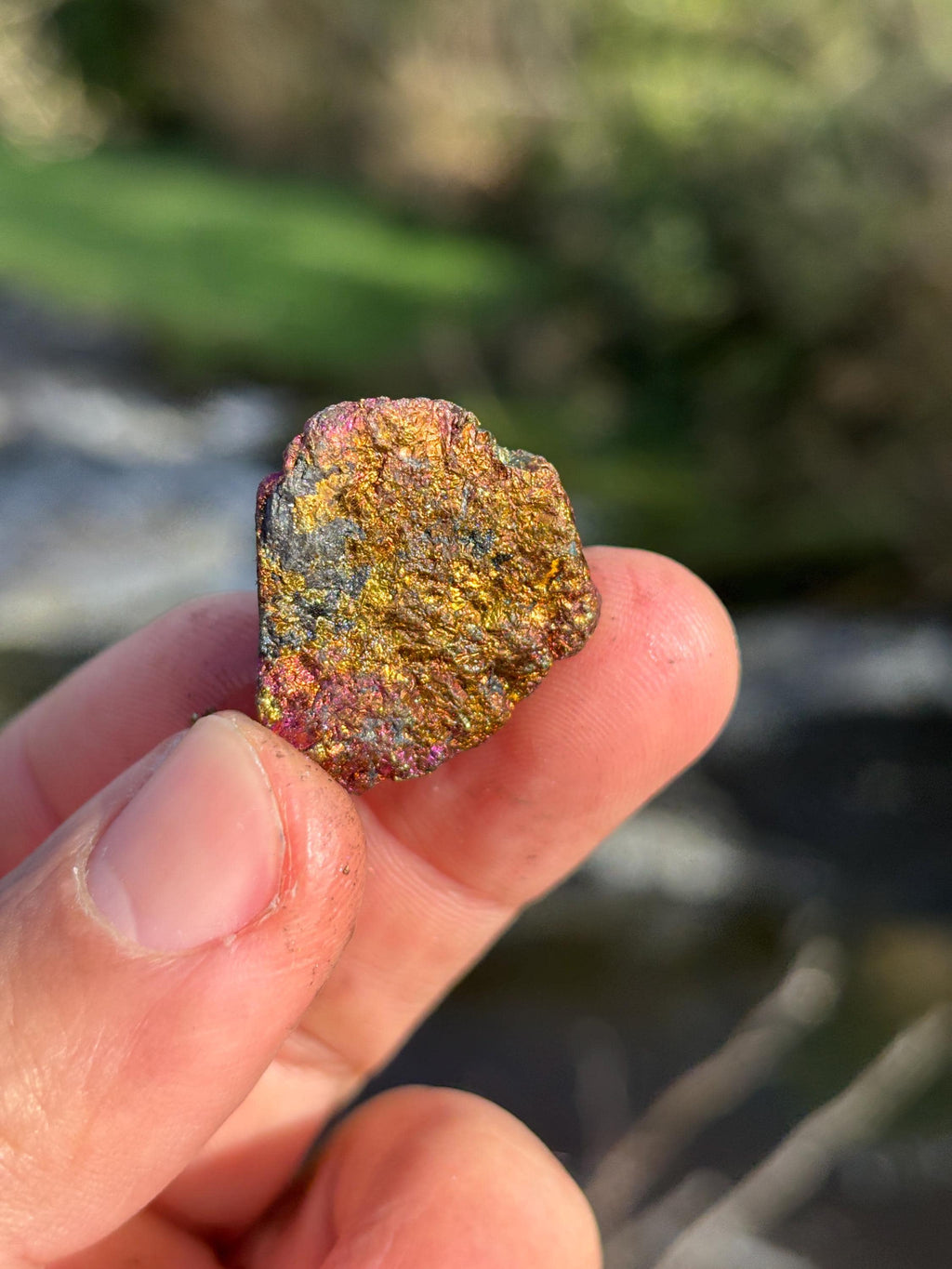 Bornite Rough Stone | Peacock Ore Crystal | Natural Iridescent Mineral | Raw Collector Specimen