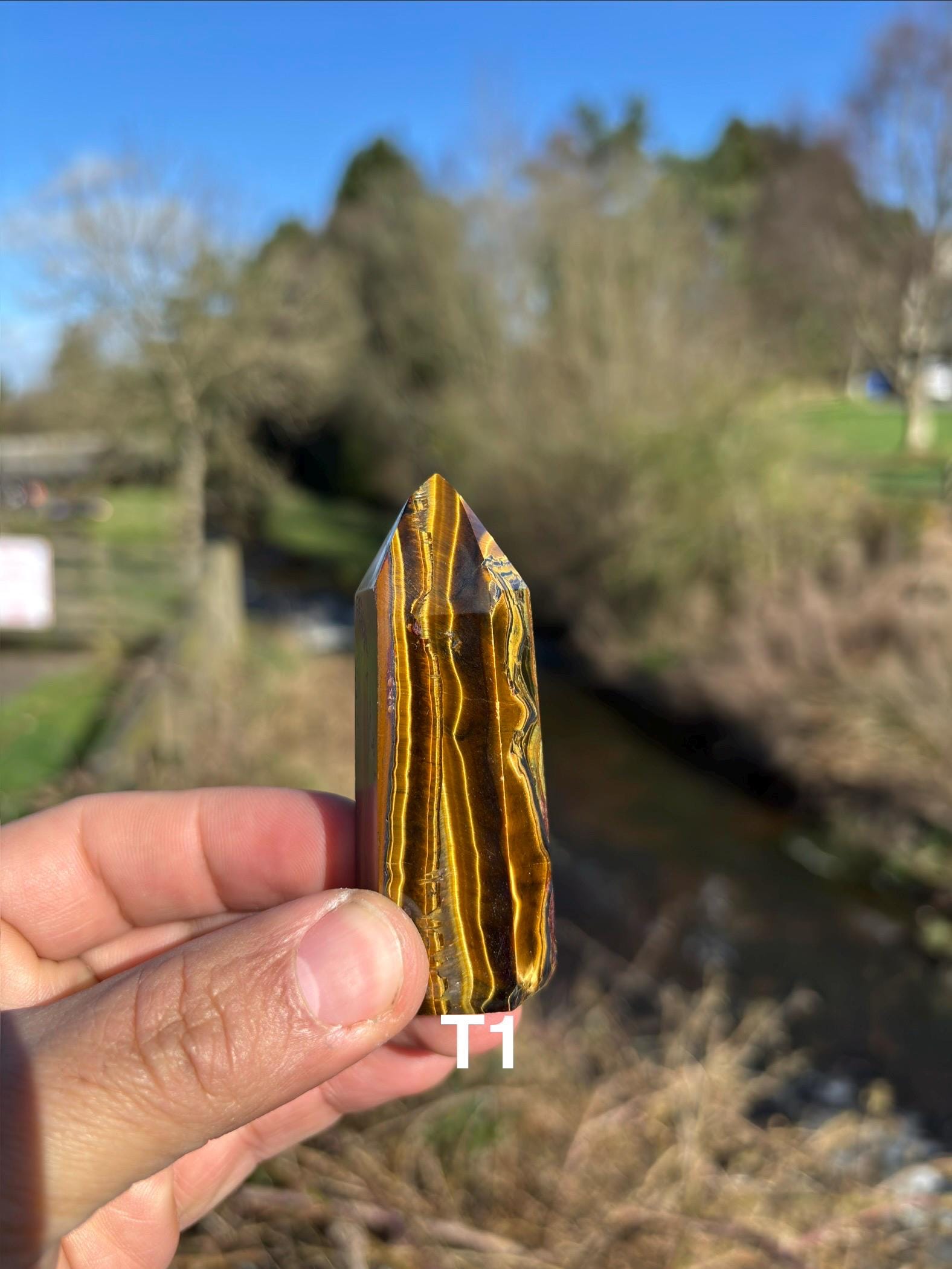 Tiger's Eye Crystal Point | Hand-Polished Tower, Home Decor