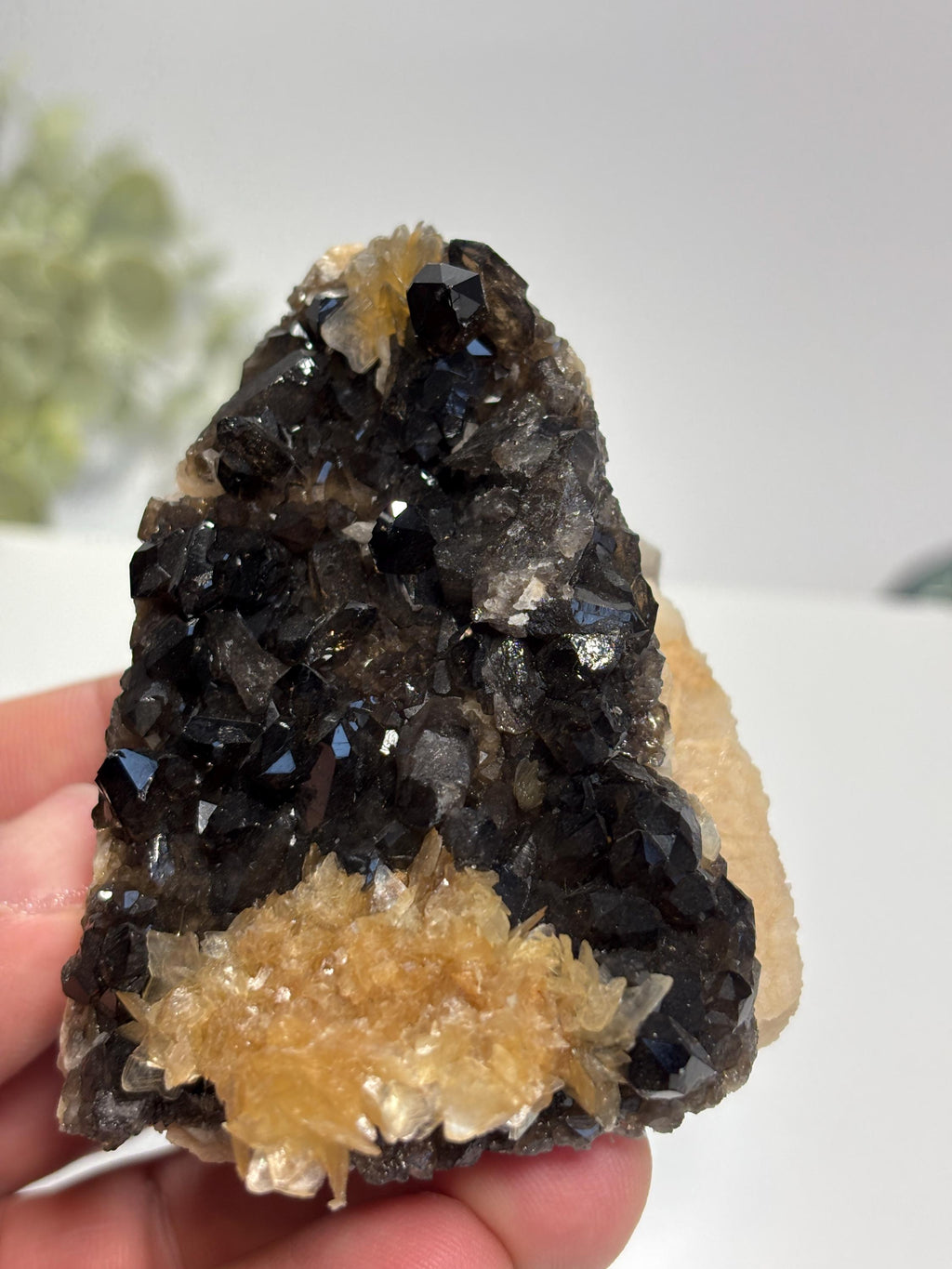 Morion Quartz Cluster with Mica | Black Smoky Crystal Specimen