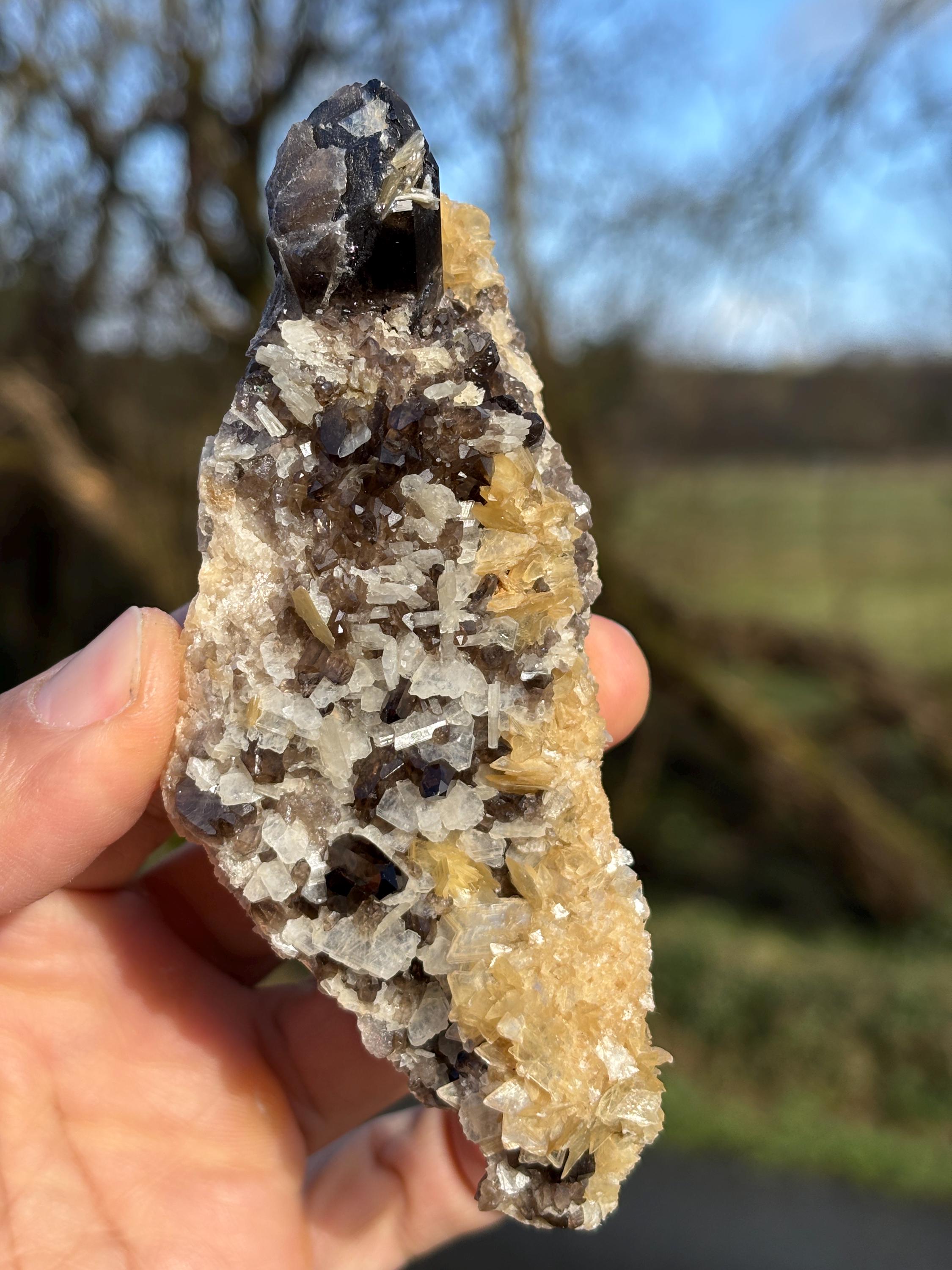 Morion Quartz Cluster with Mica | Black Smoky Crystal, Collector Specimen