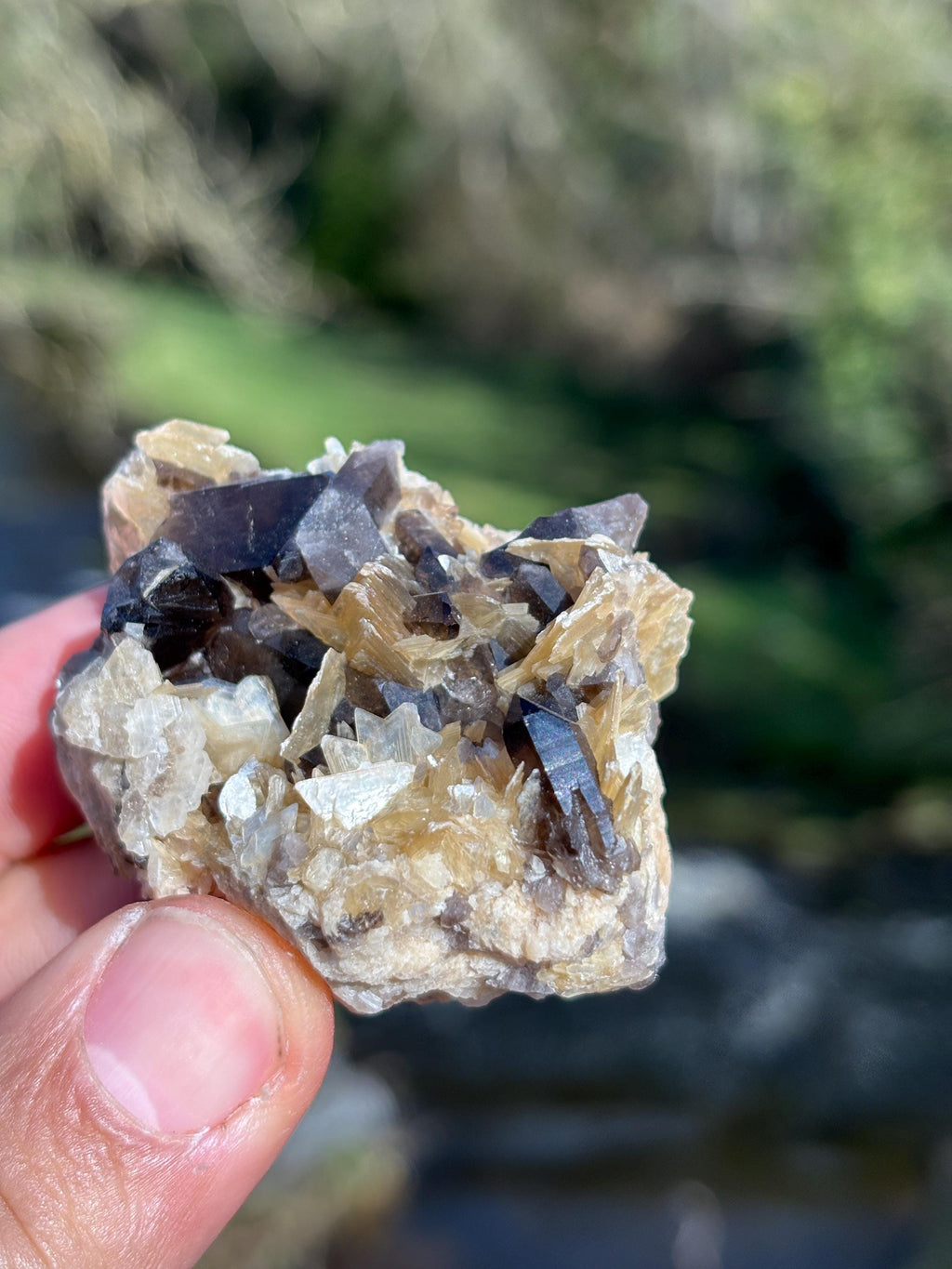 Morion Quartz with Mica | Black Smoky Quartz Cluster | Rare Collector Crystal | Grounding Protection Stone