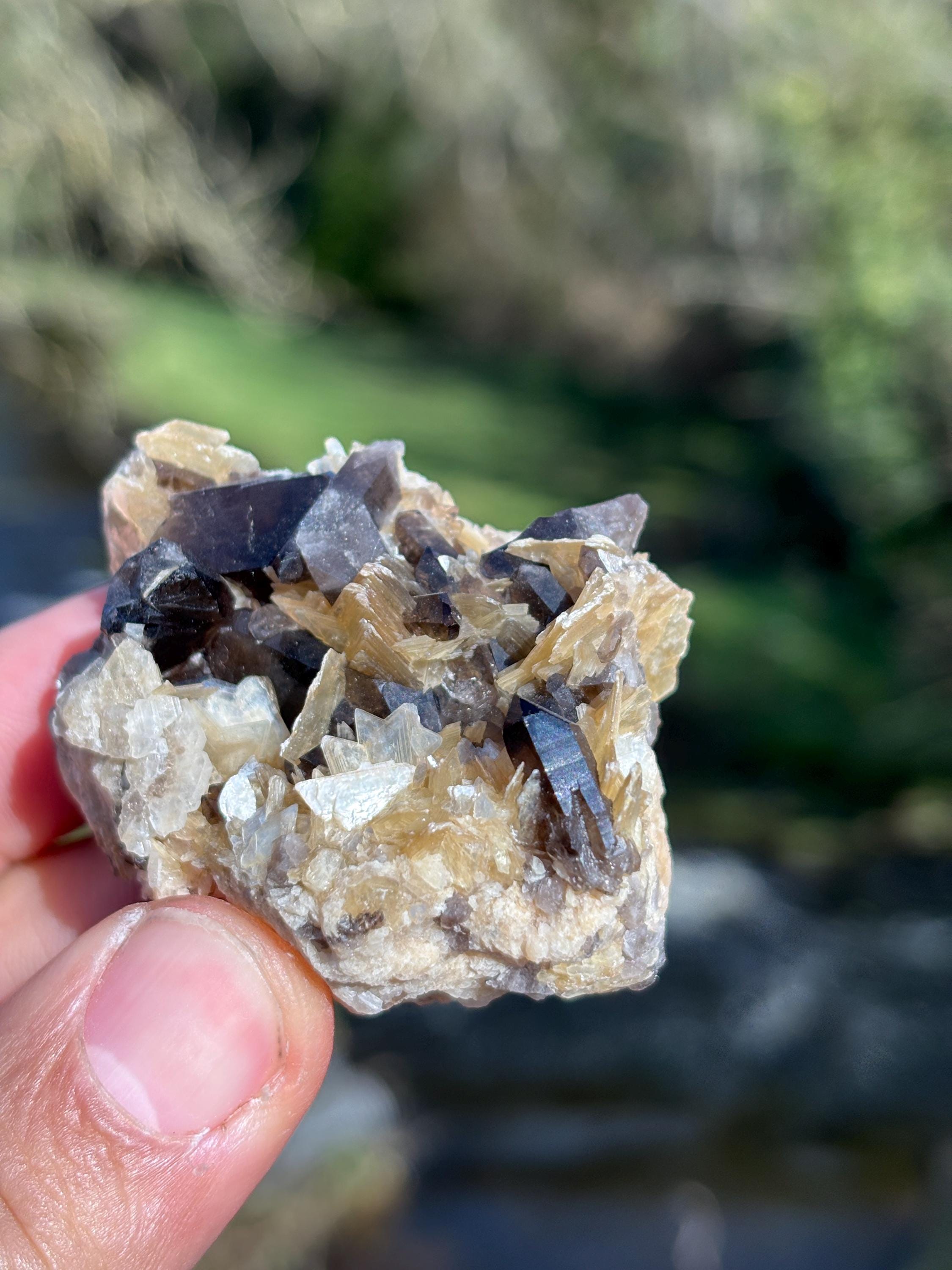 Morion Quartz with Mica | Black Smoky Quartz Cluster | Rare Collector Crystal | Grounding Protection Stone