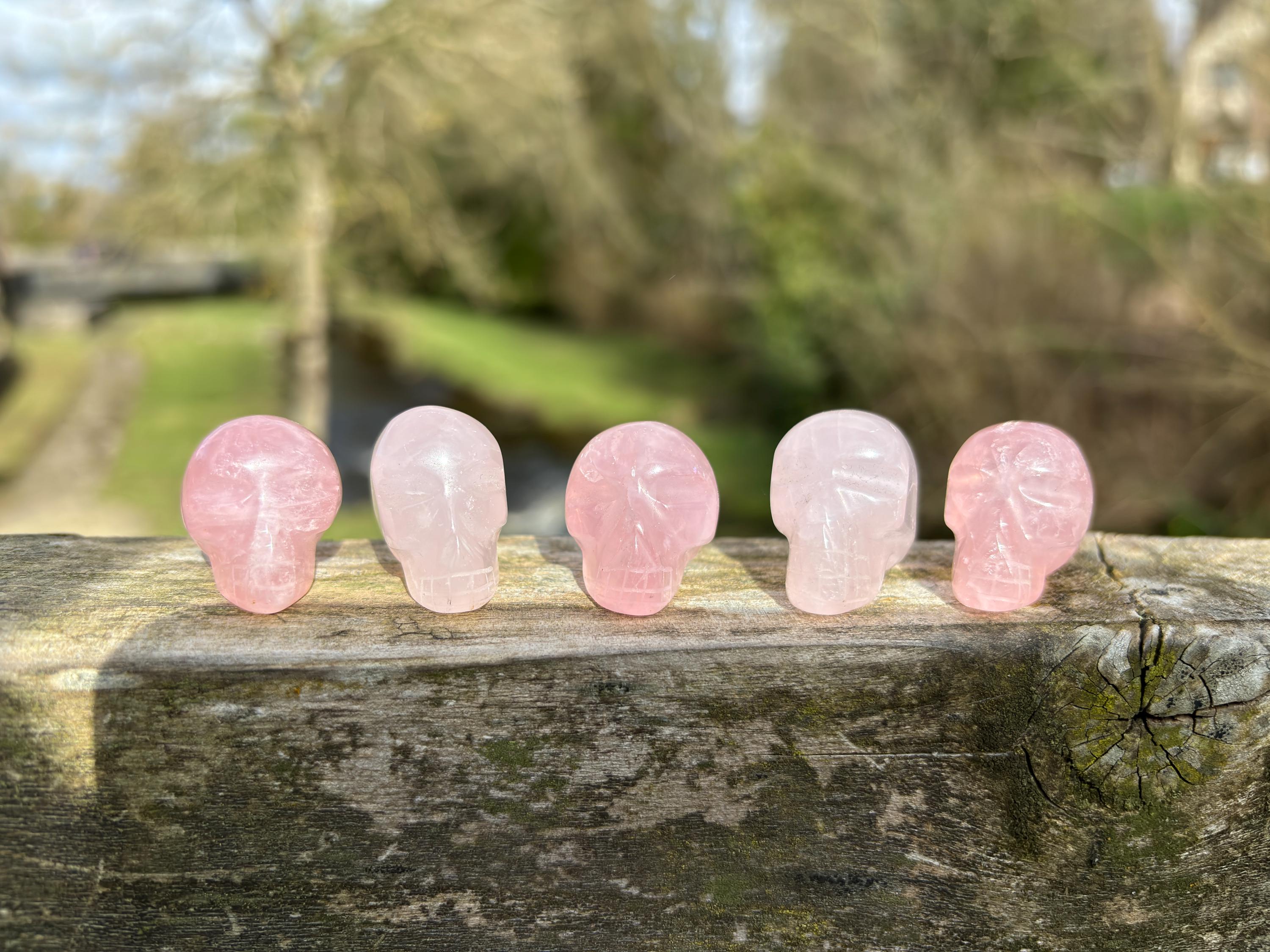 Rose Quartz Mini Skull | Hand Carved Crystal Skull | Love Stone Healing Crystal | Gothic Crystal Decor