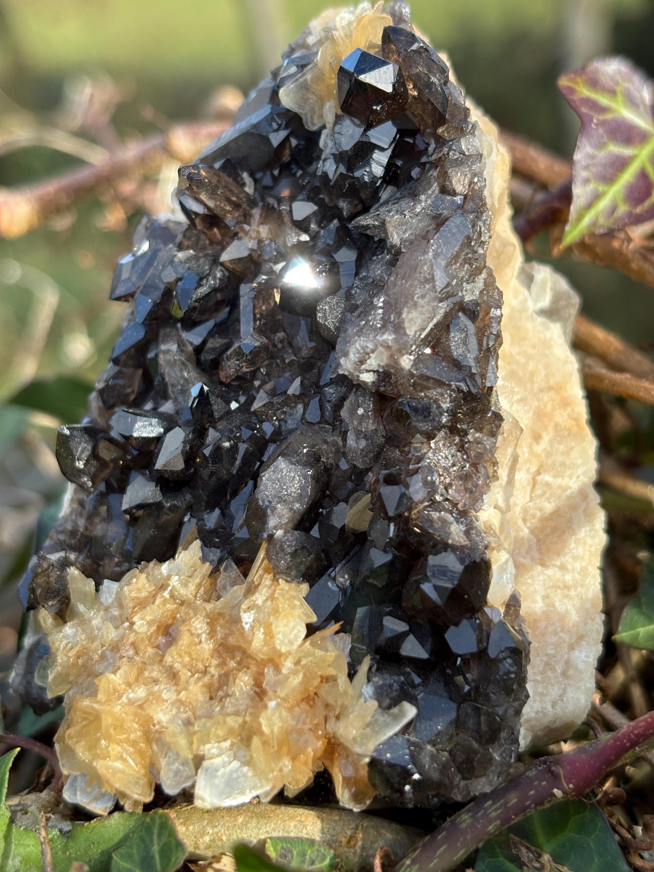 Morion Quartz Cluster with Mica | Black Smoky Crystal Specimen
