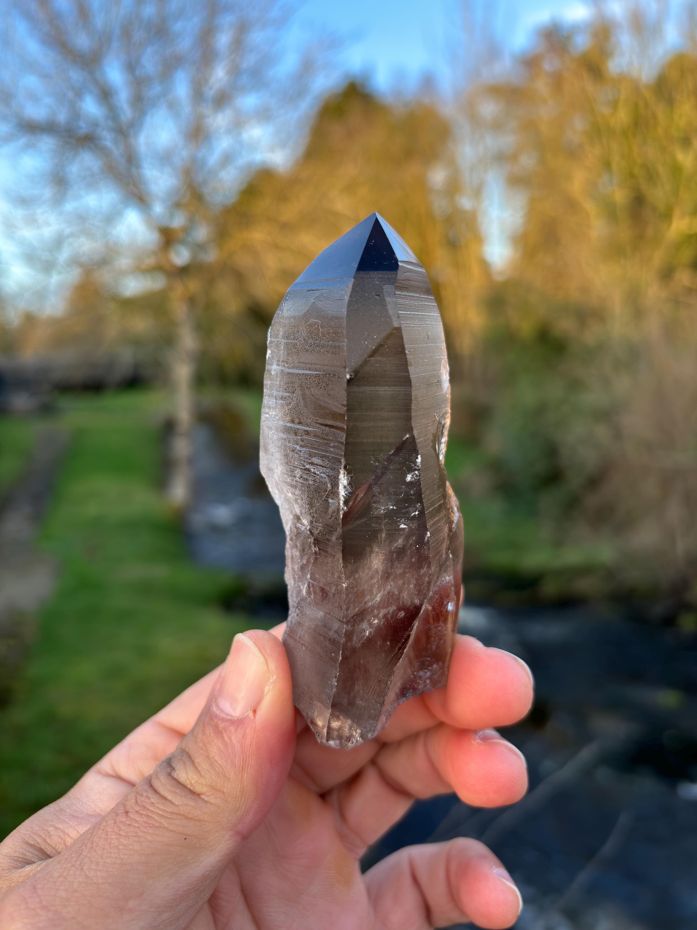 Smoky Lemurian Quartz Point | Natural Brazilian Crystal | Grounding Protection Stone | Raw Collector Specimen