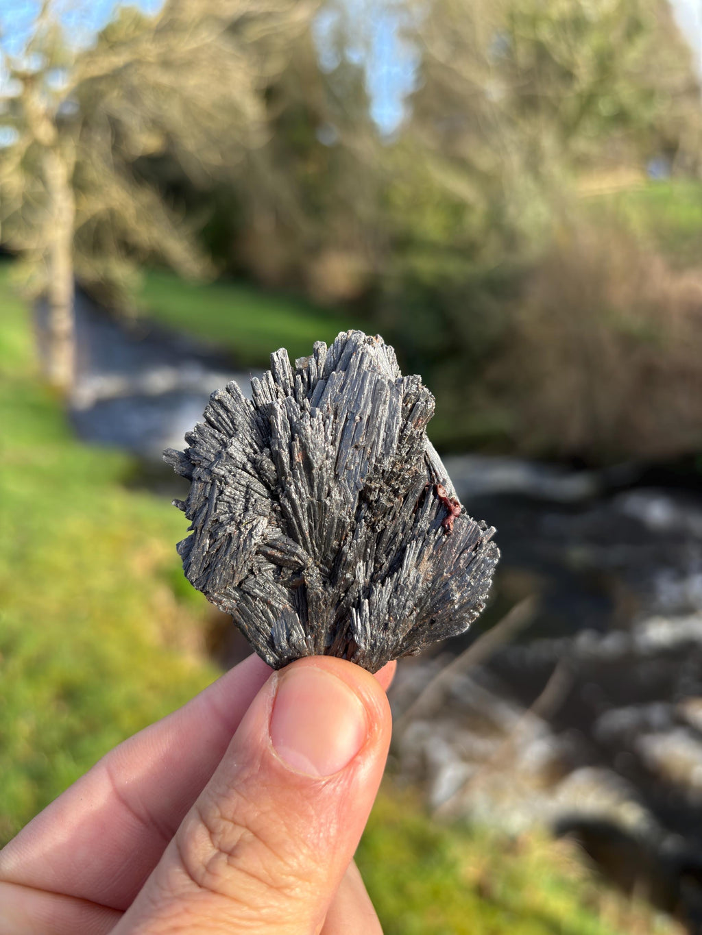 Black Kyanite Rough Crystal | Witch’s Broom, Protection Stone from Brazil