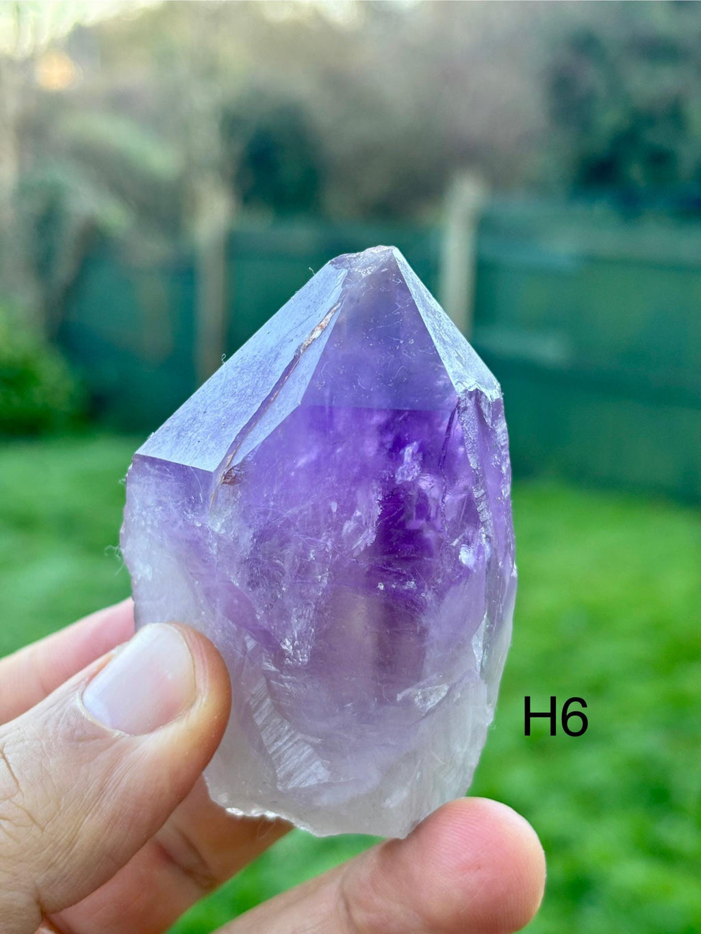 Brazilian Amethyst Point • Natural Purple Crystal for Reiki & Meditation